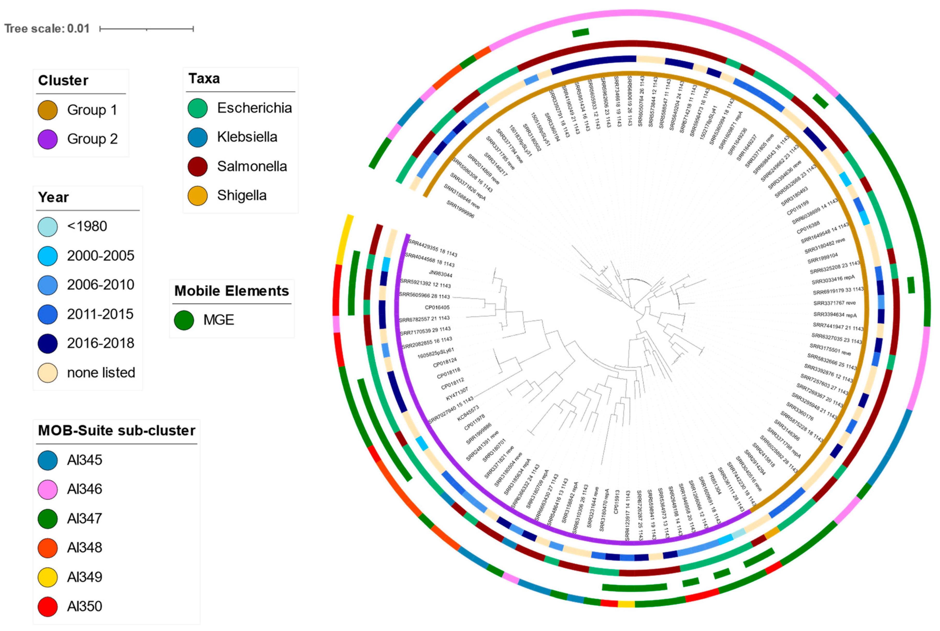 Antibiotics 11 00181 g003