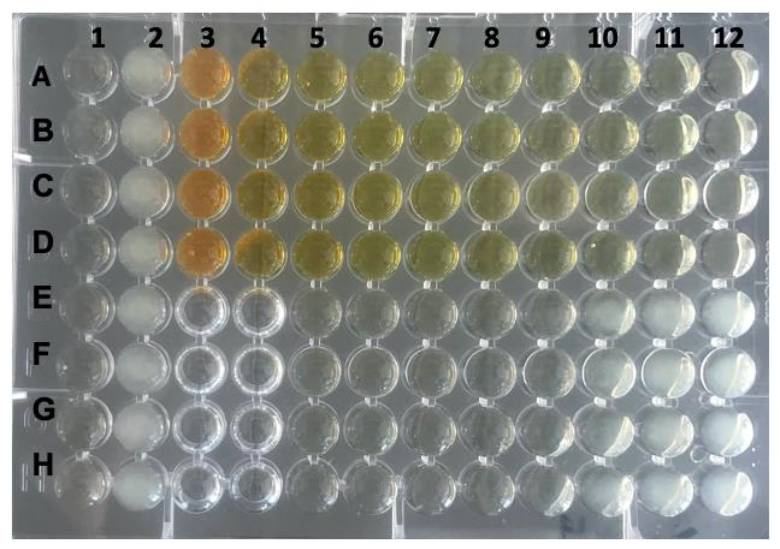 Antibiotics 11 00186 g001
