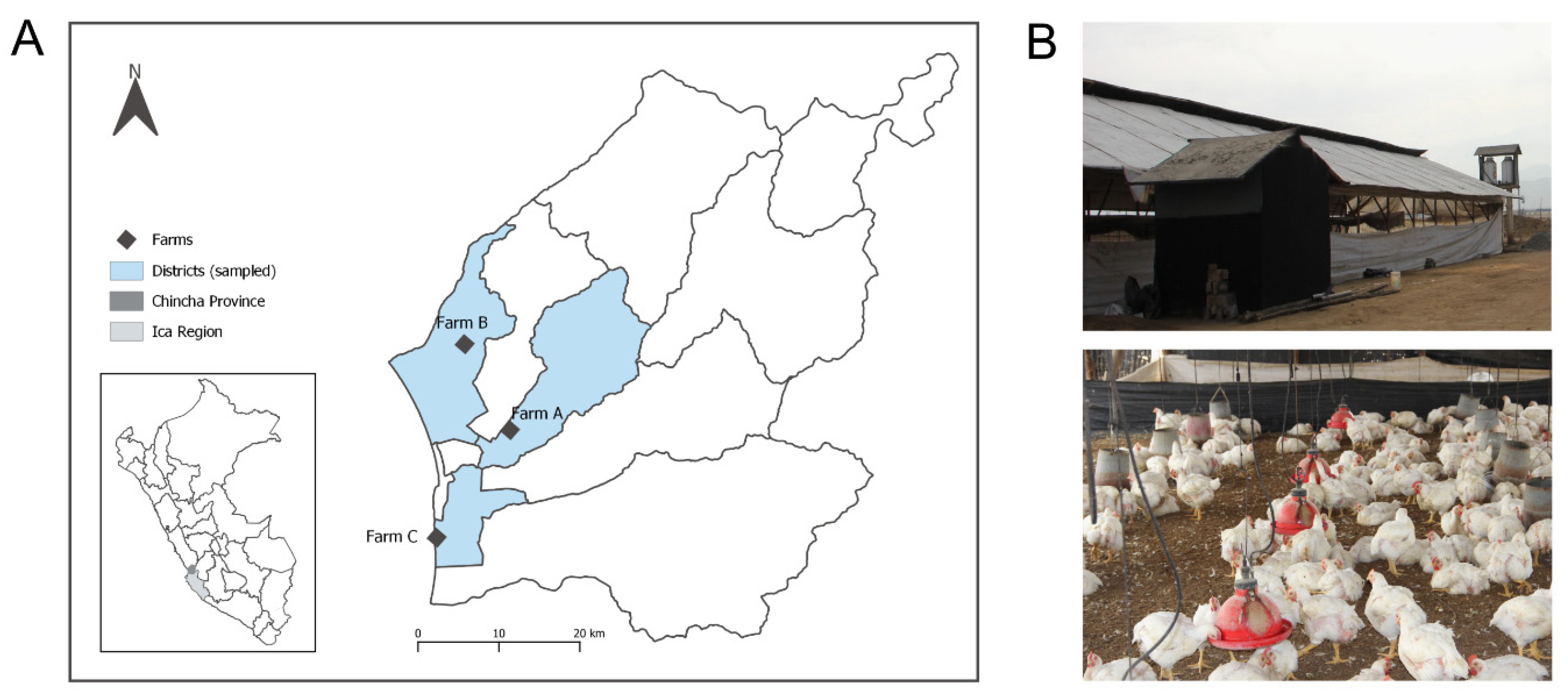 Antibiotics 11 00190 g003
