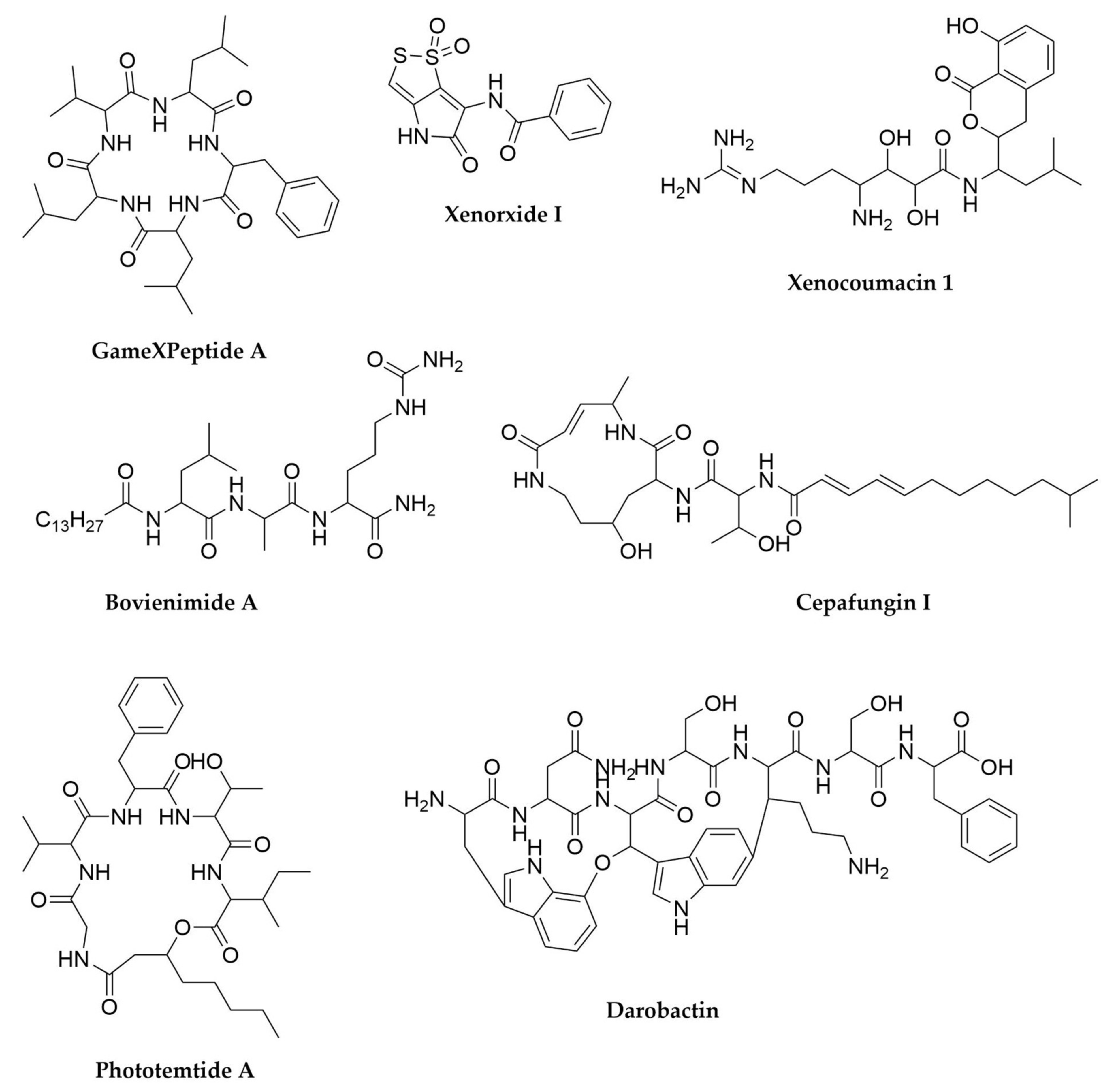 Antibiotics 11 00195 g006