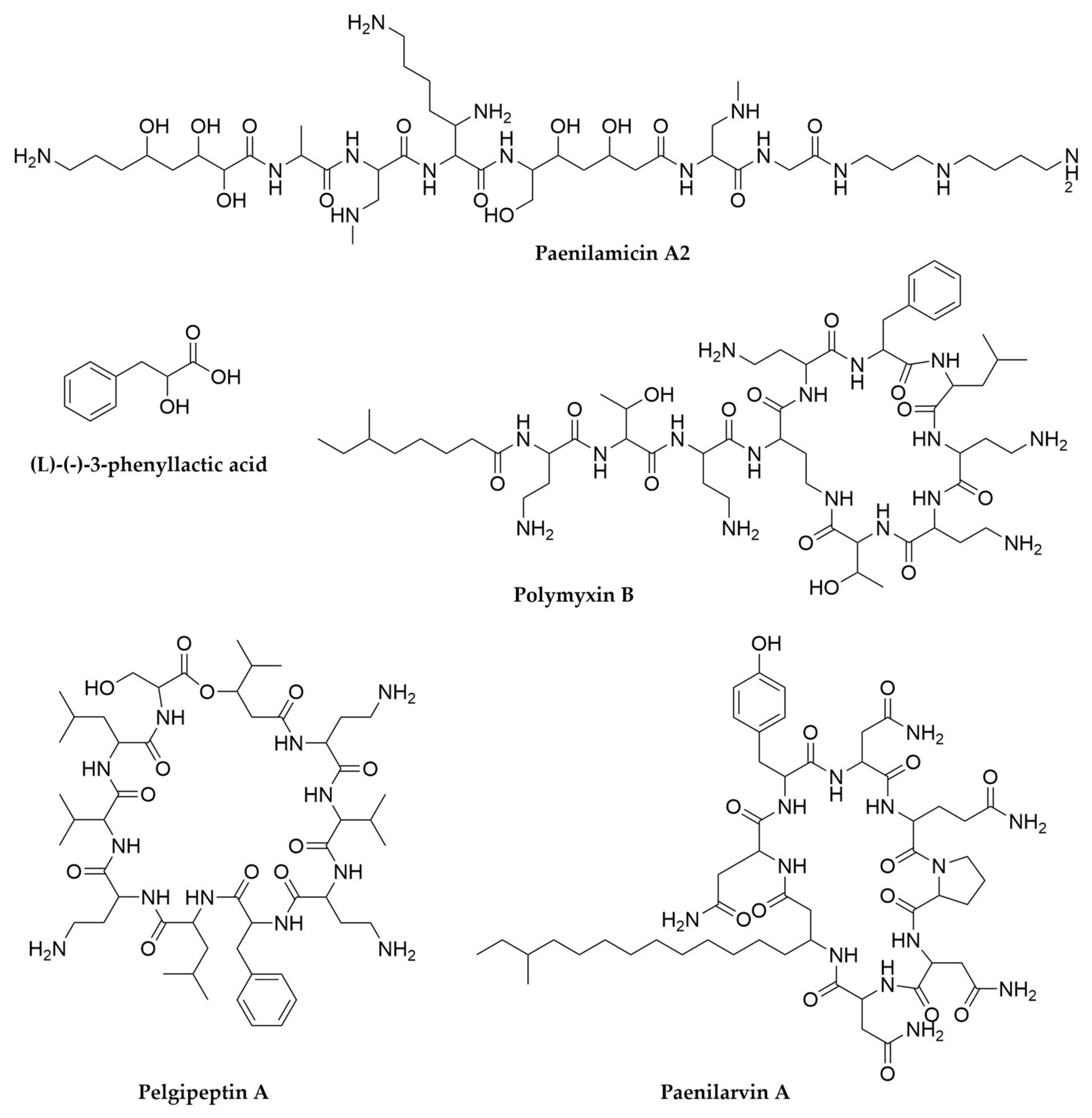 Antibiotics 11 00195 g007
