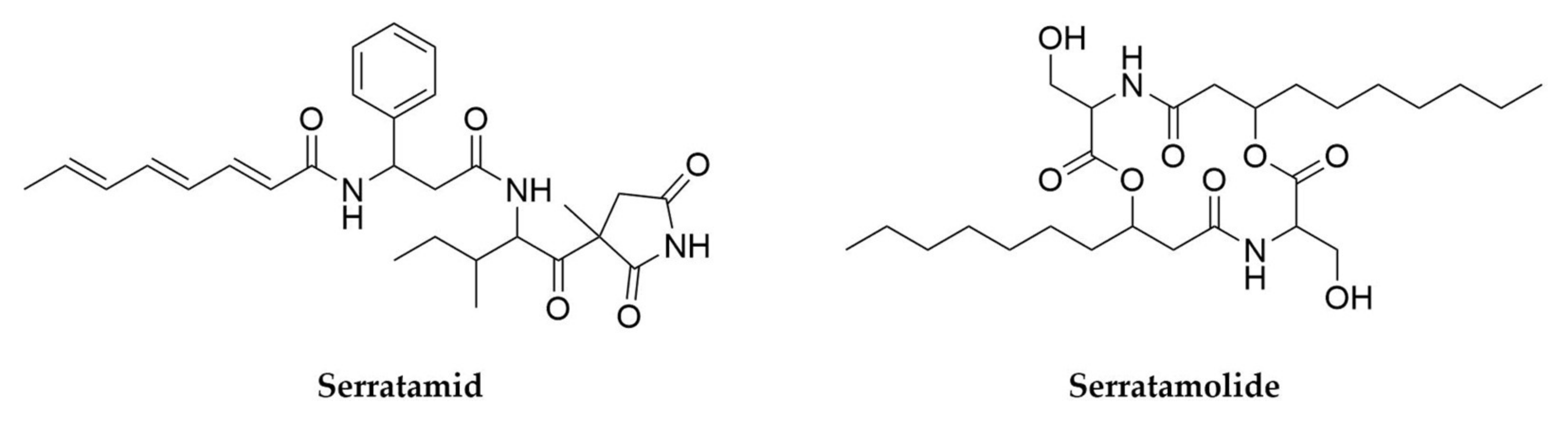 Antibiotics 11 00195 g008