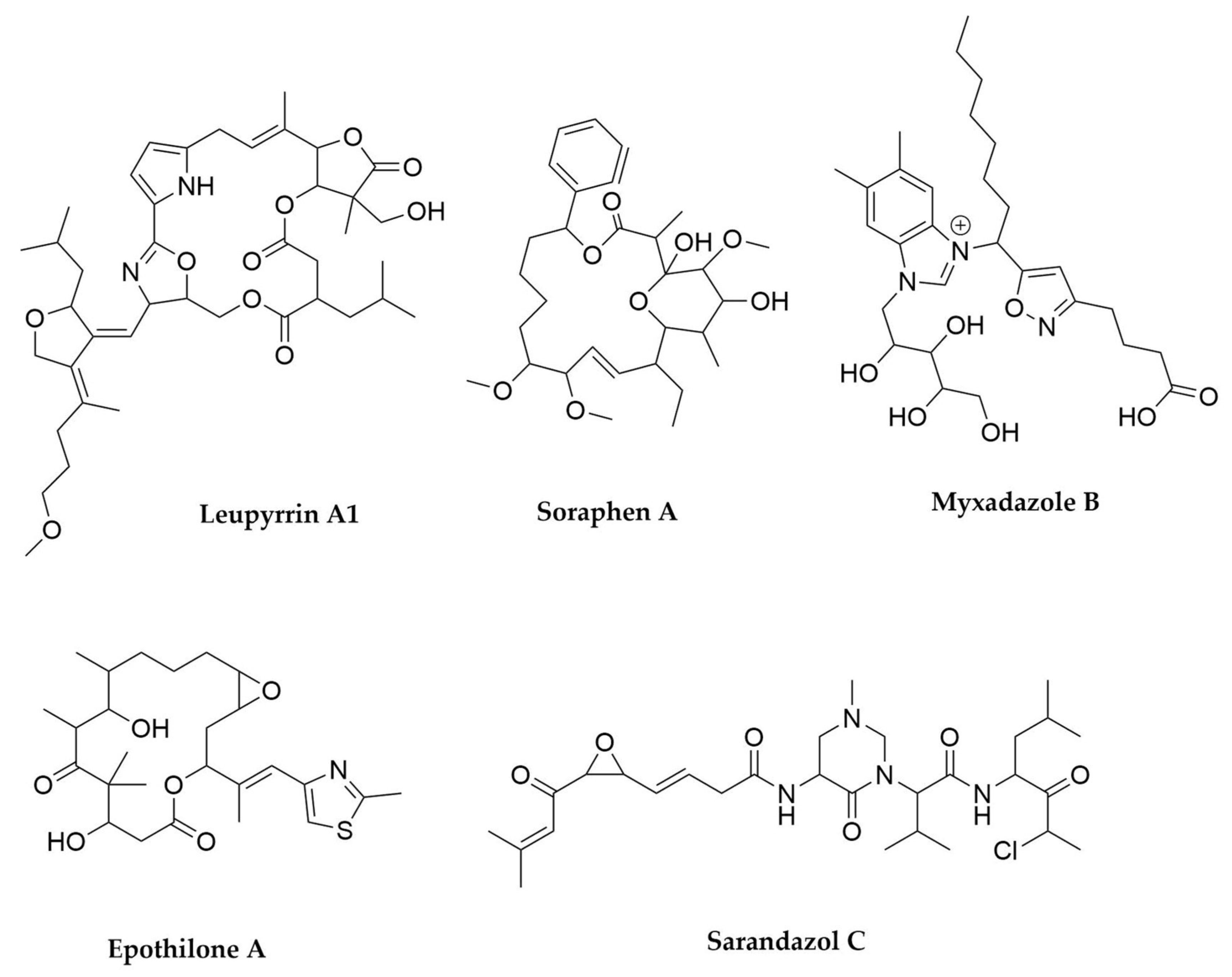Antibiotics 11 00195 g010