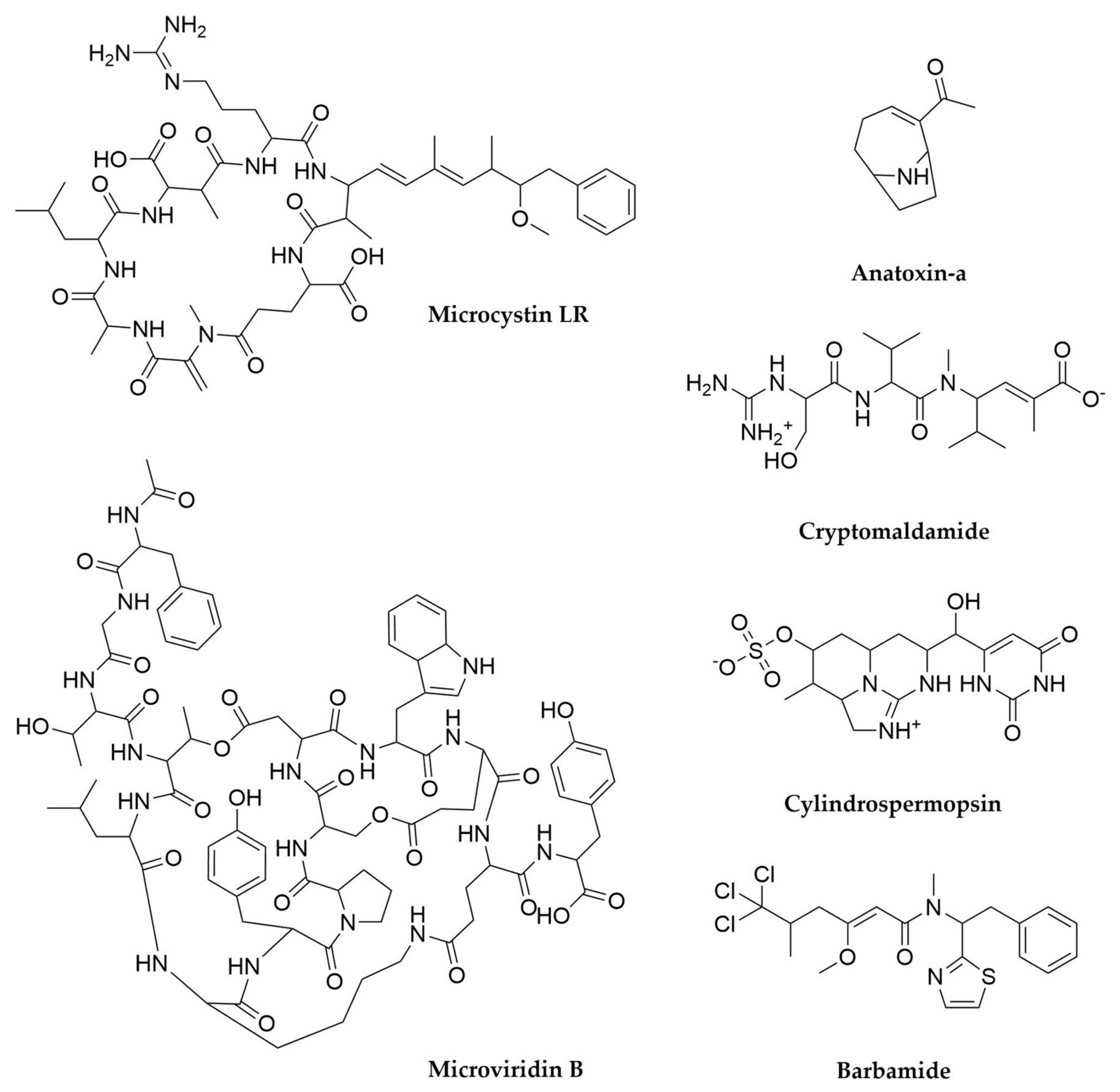 Antibiotics 11 00195 g011