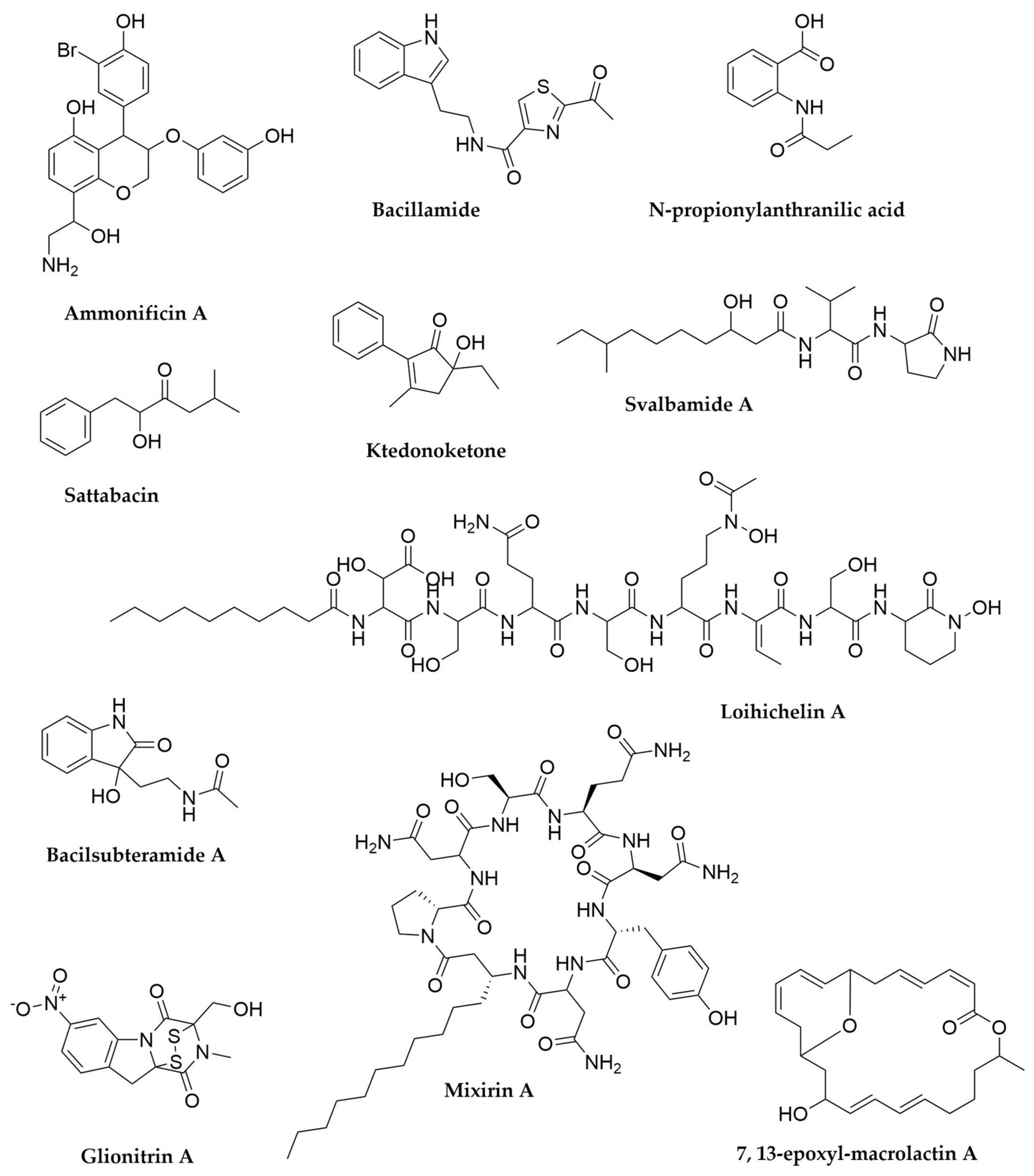 Antibiotics 11 00195 g020