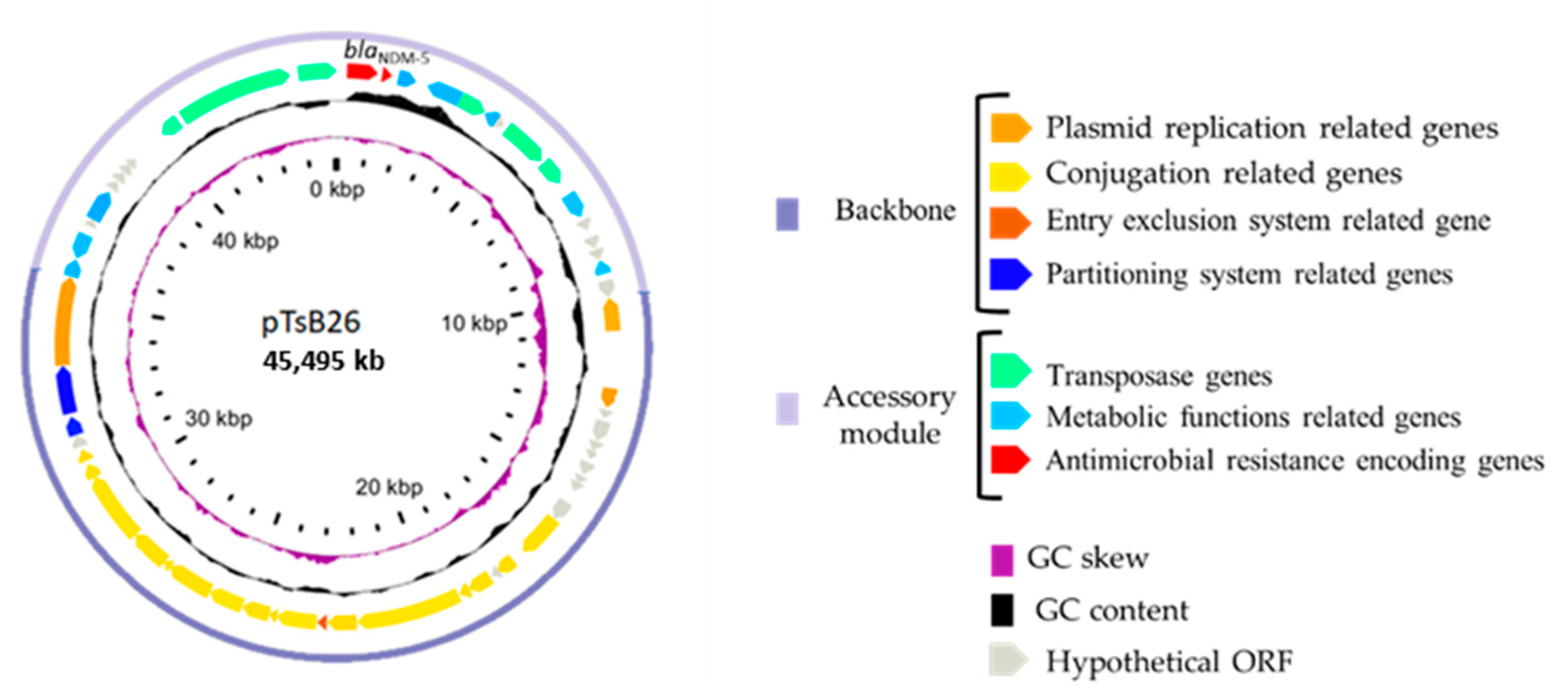 Antibiotics 11 00196 g001 550