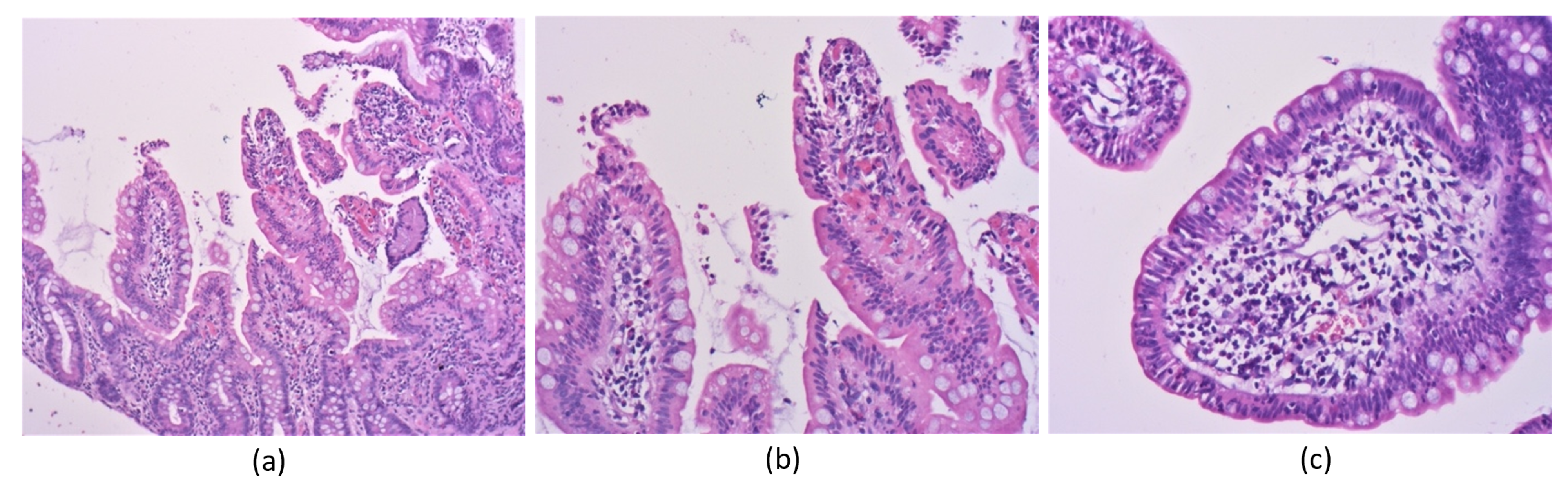 Antibiotics 11 00206 g002