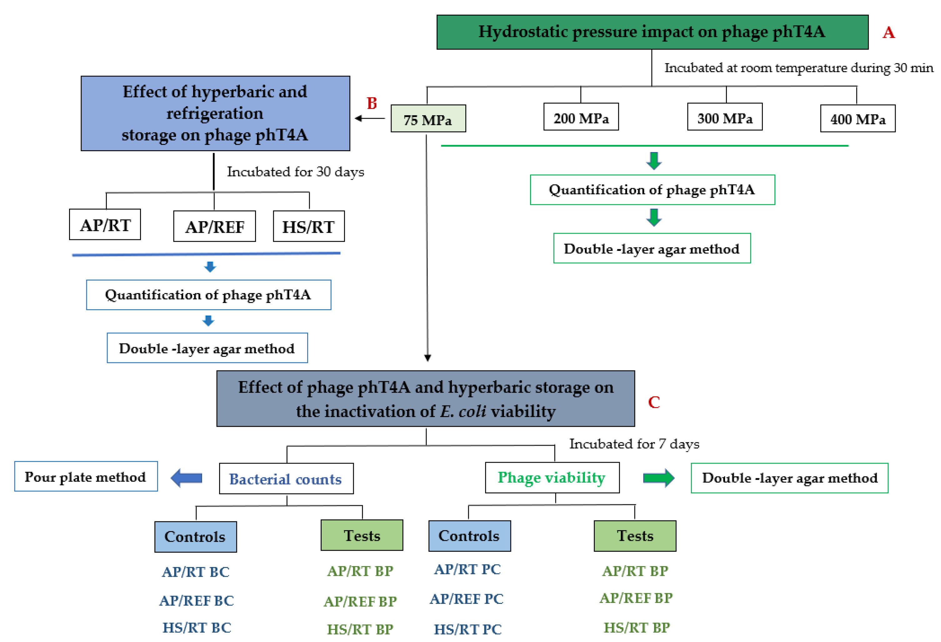 Antibiotics 11 00211 g001