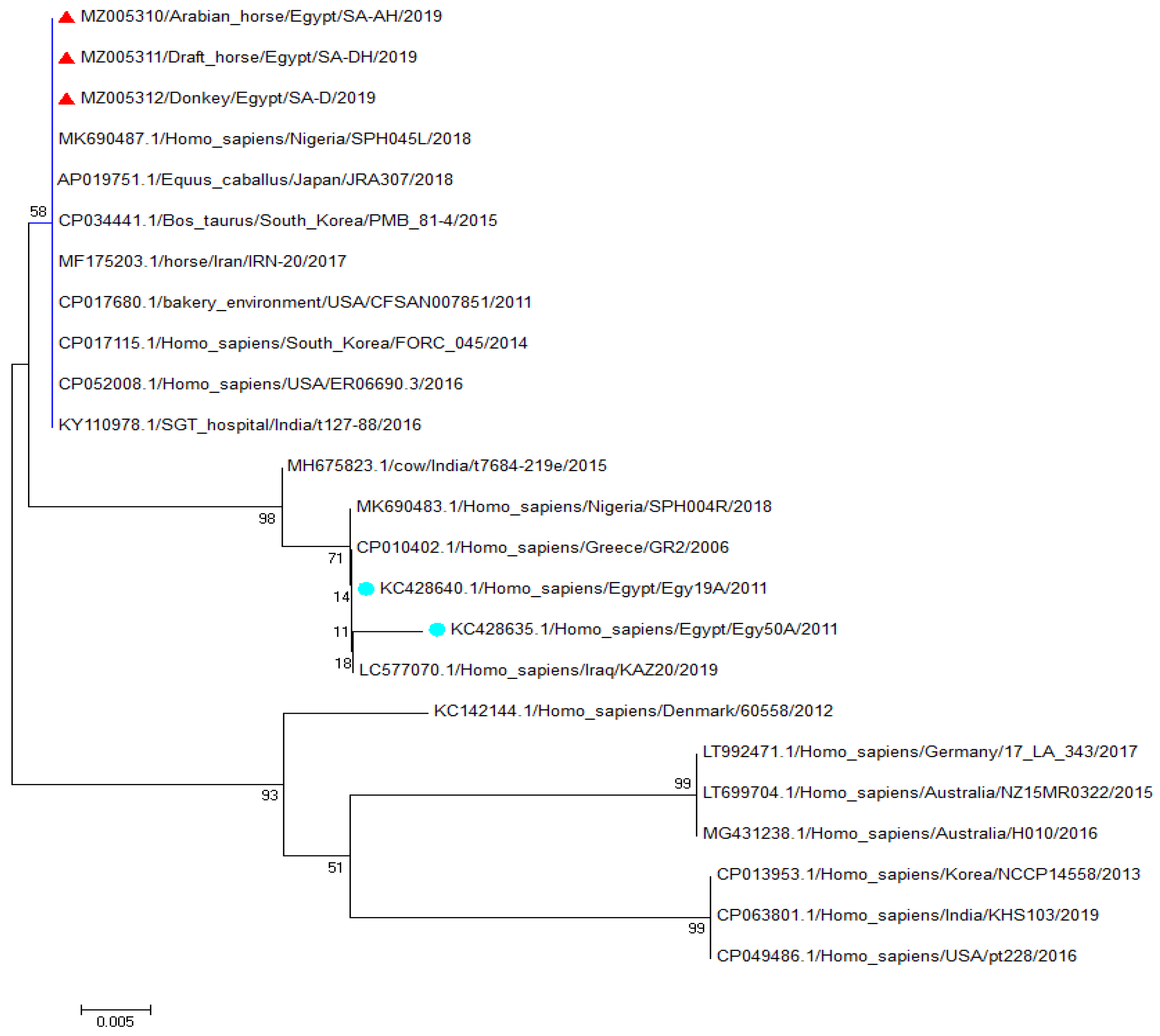Antibiotics 11 00221 g001 550