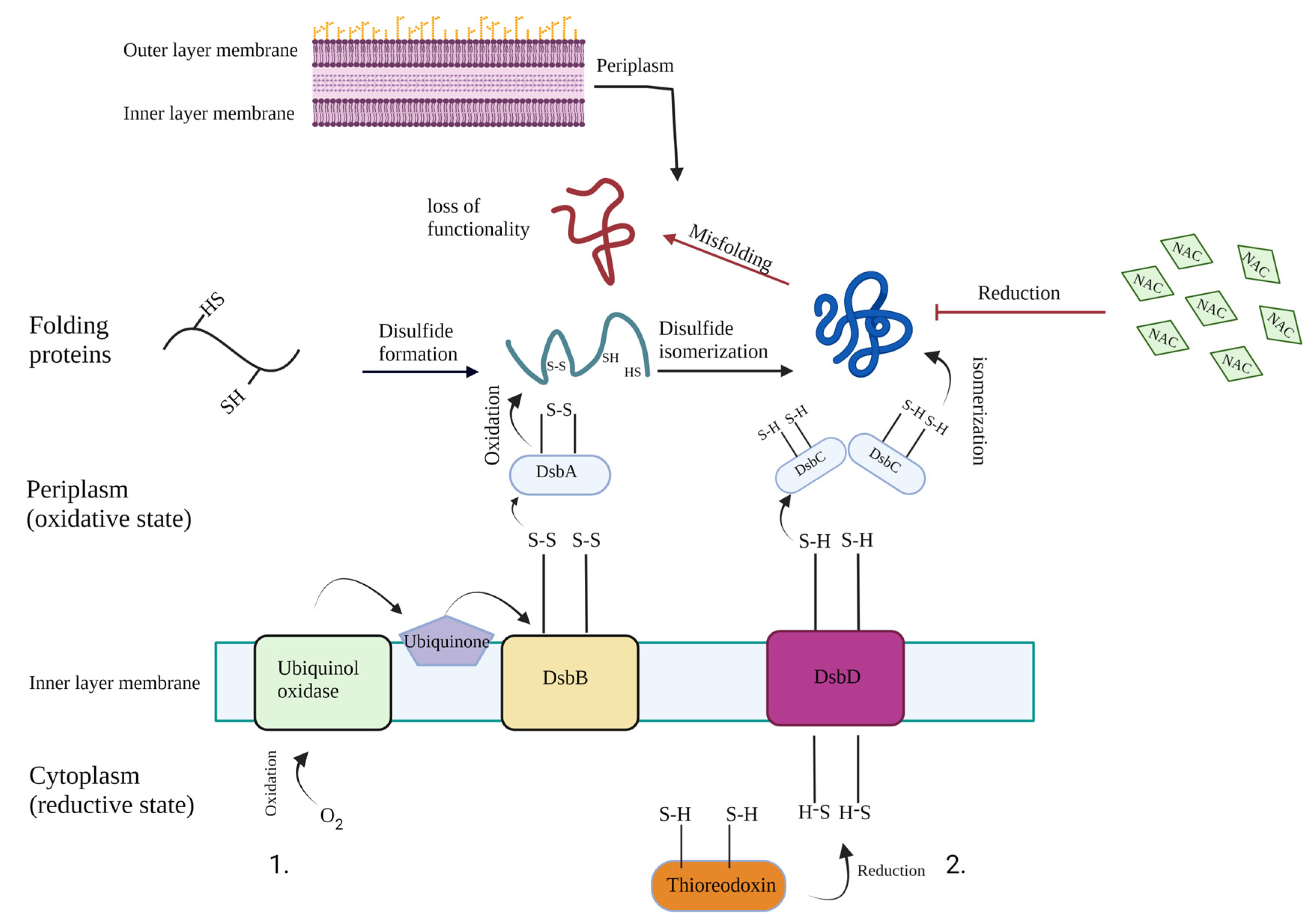 Antibiotics 11 00225 g006