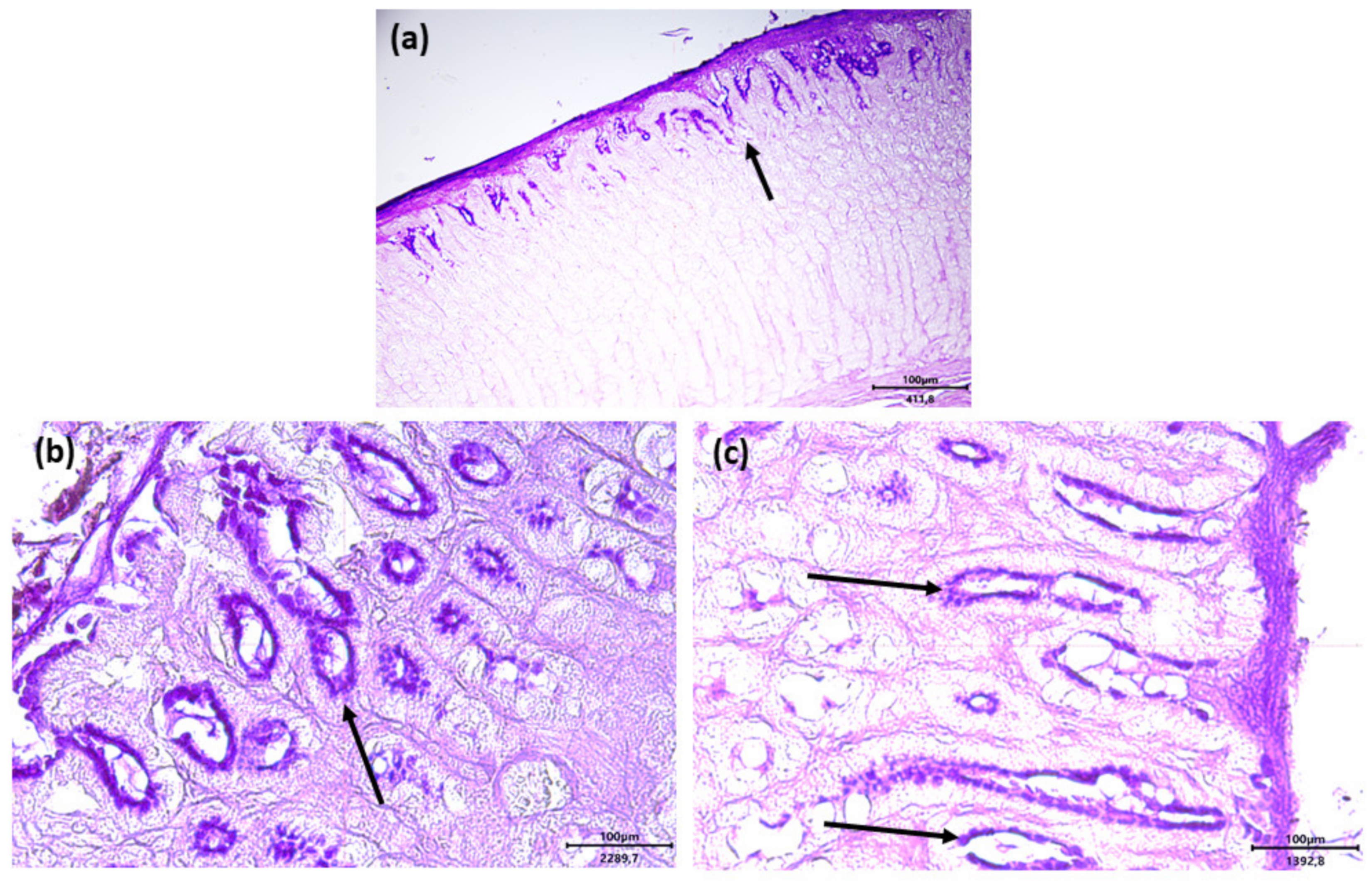 Antibiotics 11 00227 g008