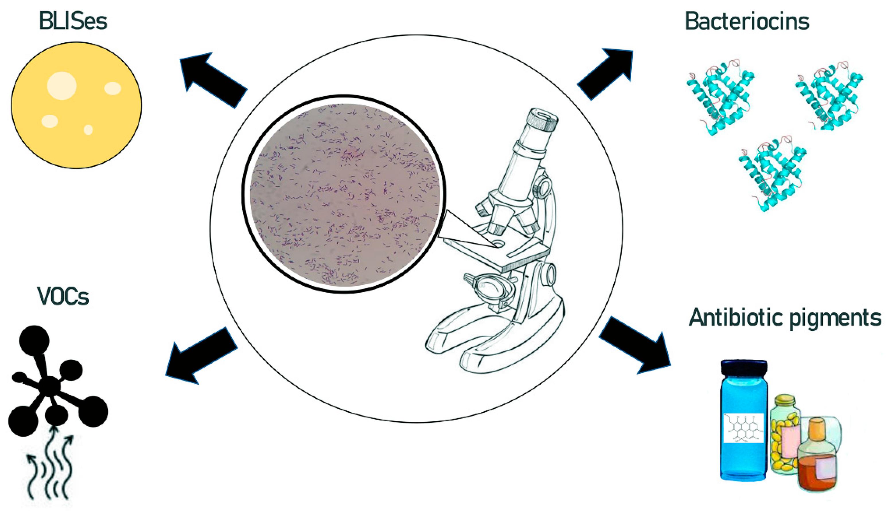 Antibiotics 11 00242 g002 550