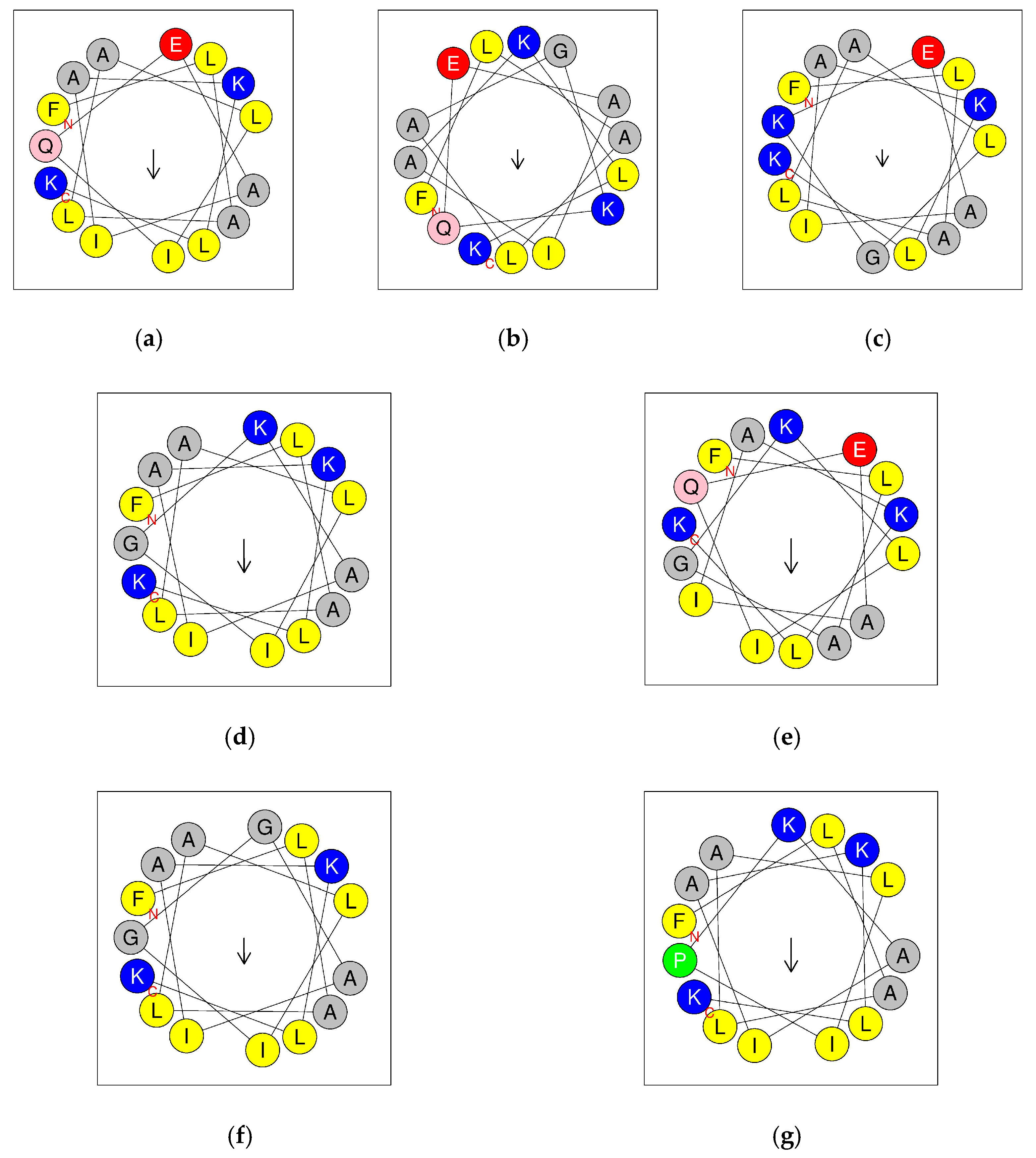 Antibiotics 11 00243 g006 Antibiotics 11 00243 g006