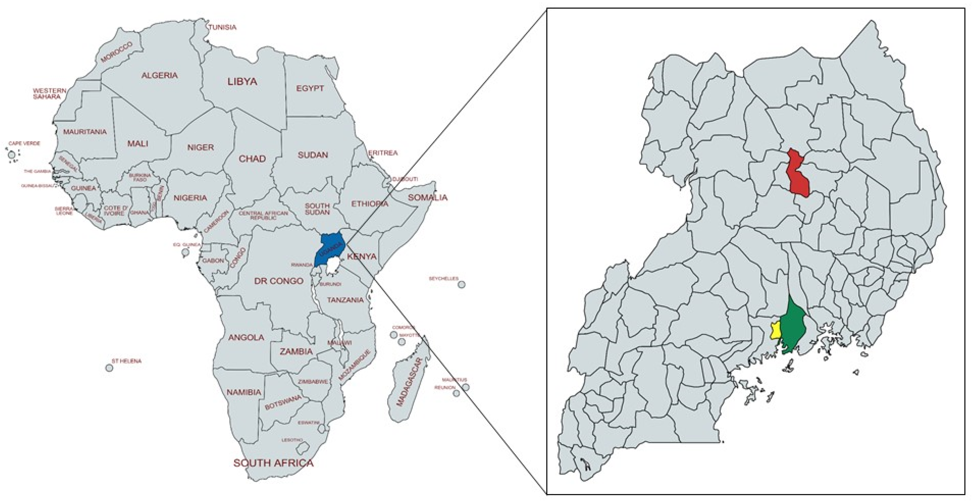 Antibiotics 11 00251 g001 550