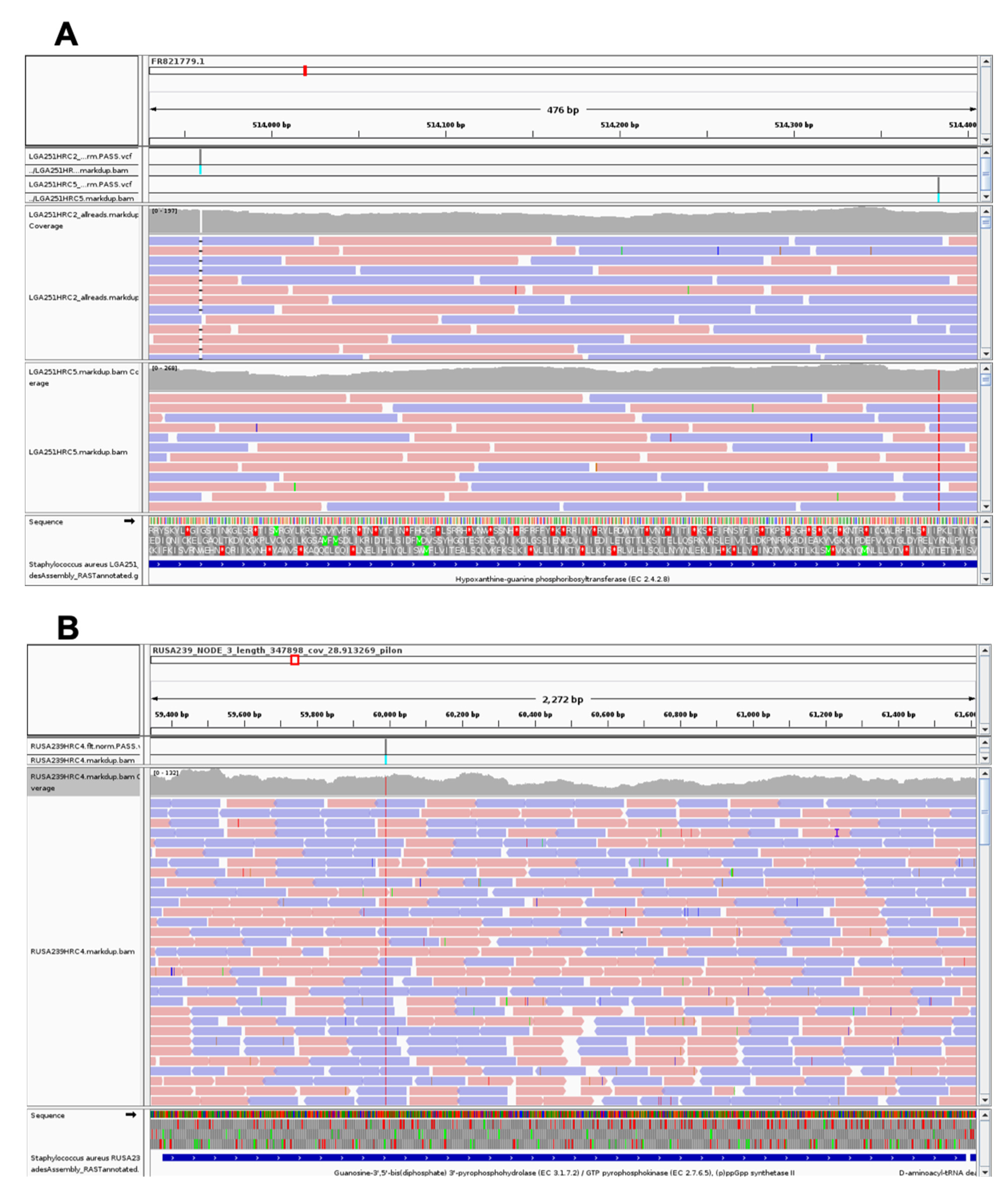 Antibiotics 11 00255 g002a