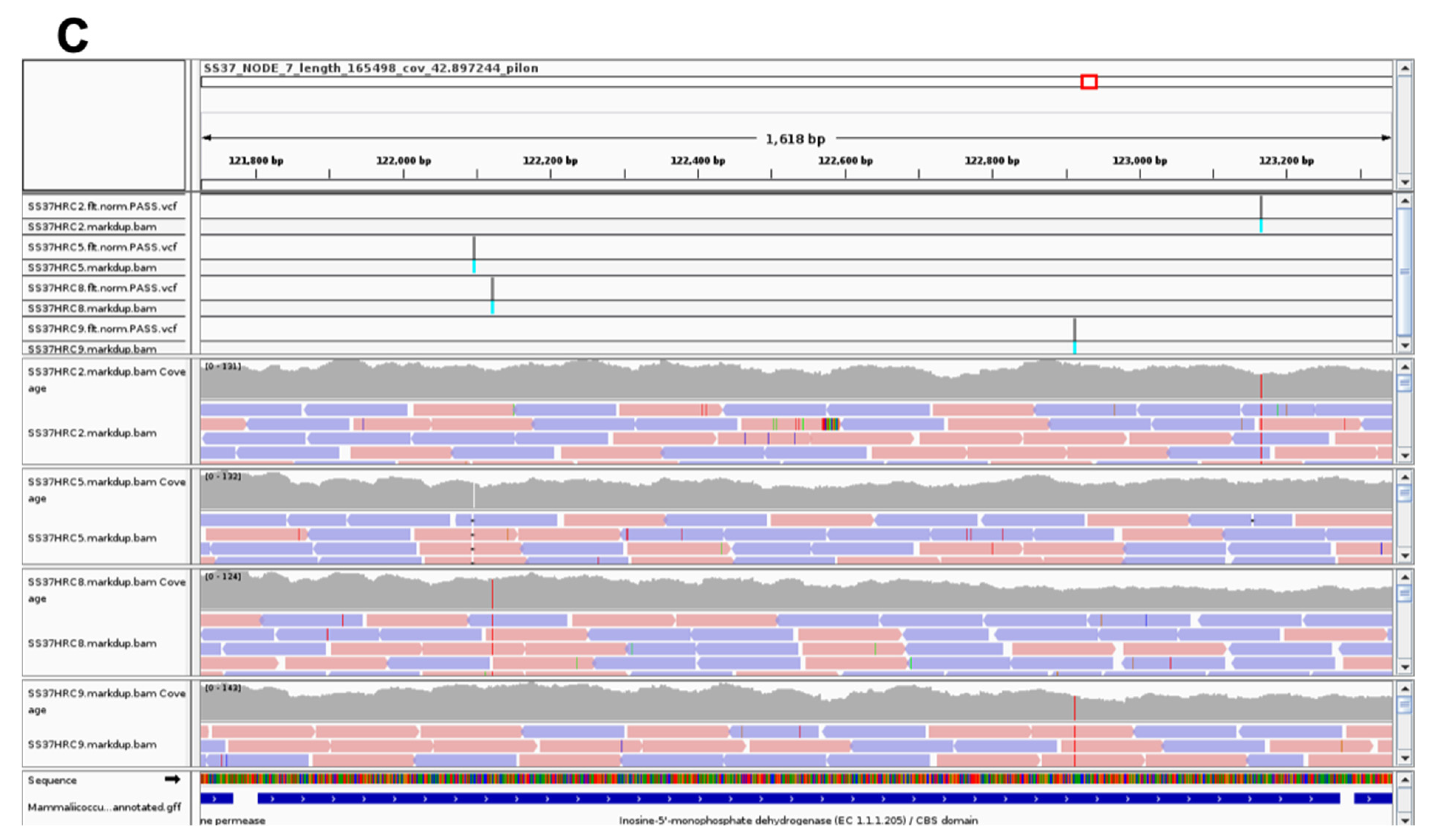 Antibiotics 11 00255 g002b