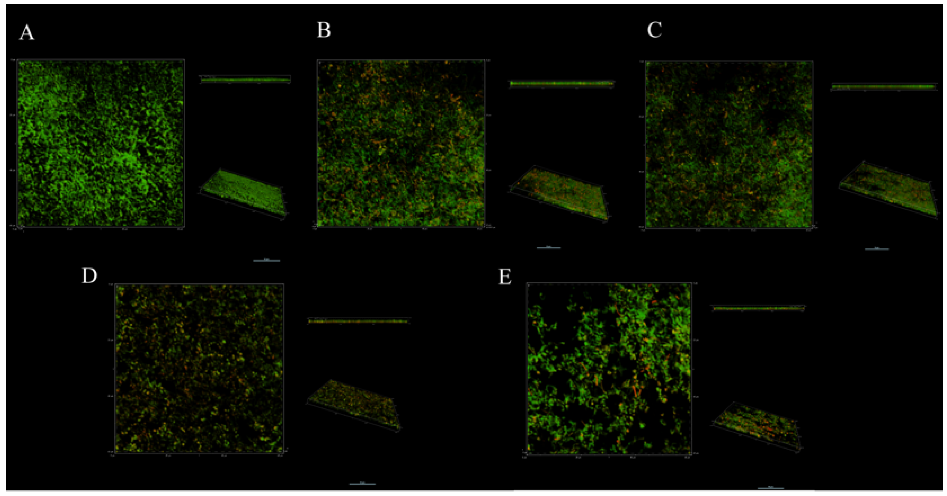 Antibiotics 11 00262 g004