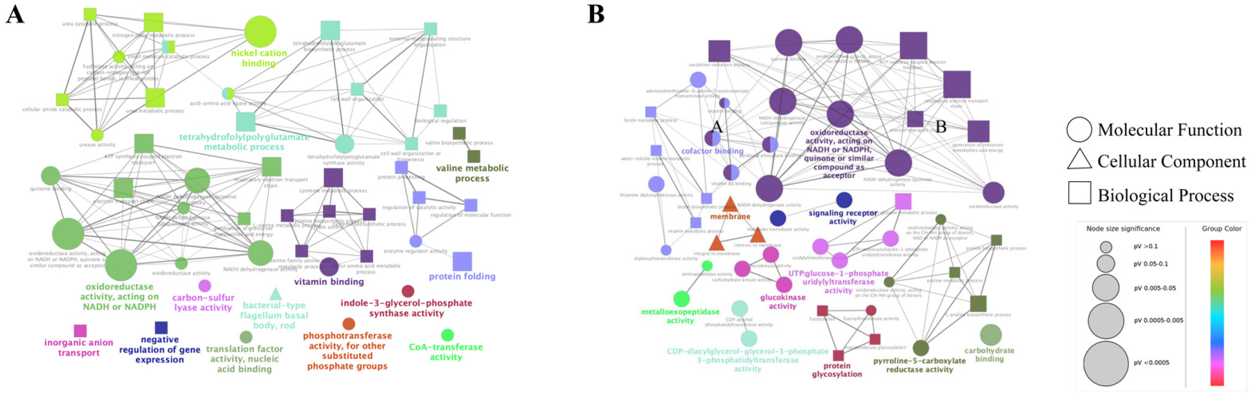 Antibiotics 11 00262 g007