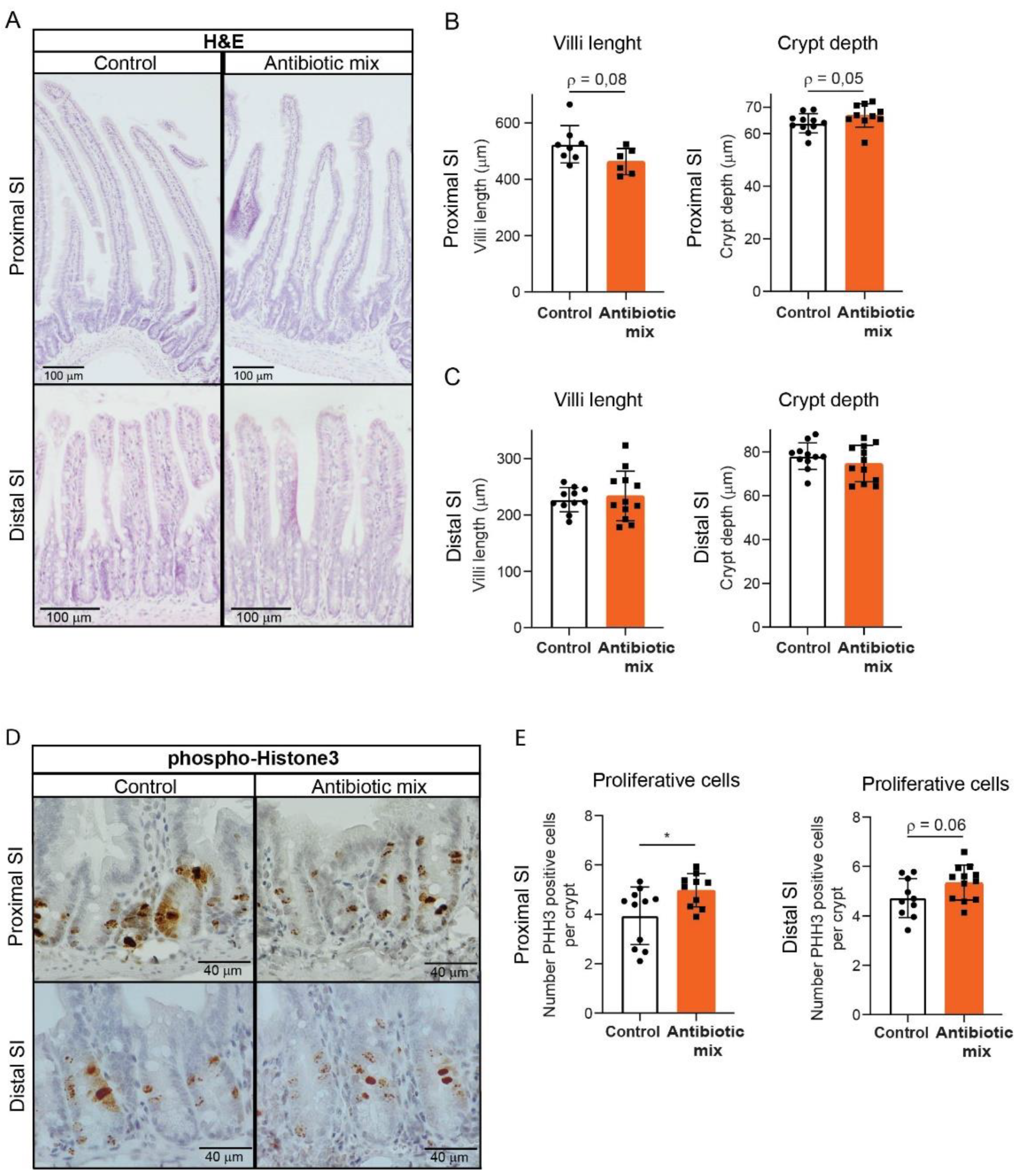 Antibiotics 11 00267 g002 Antibiotics 11 00267 g002