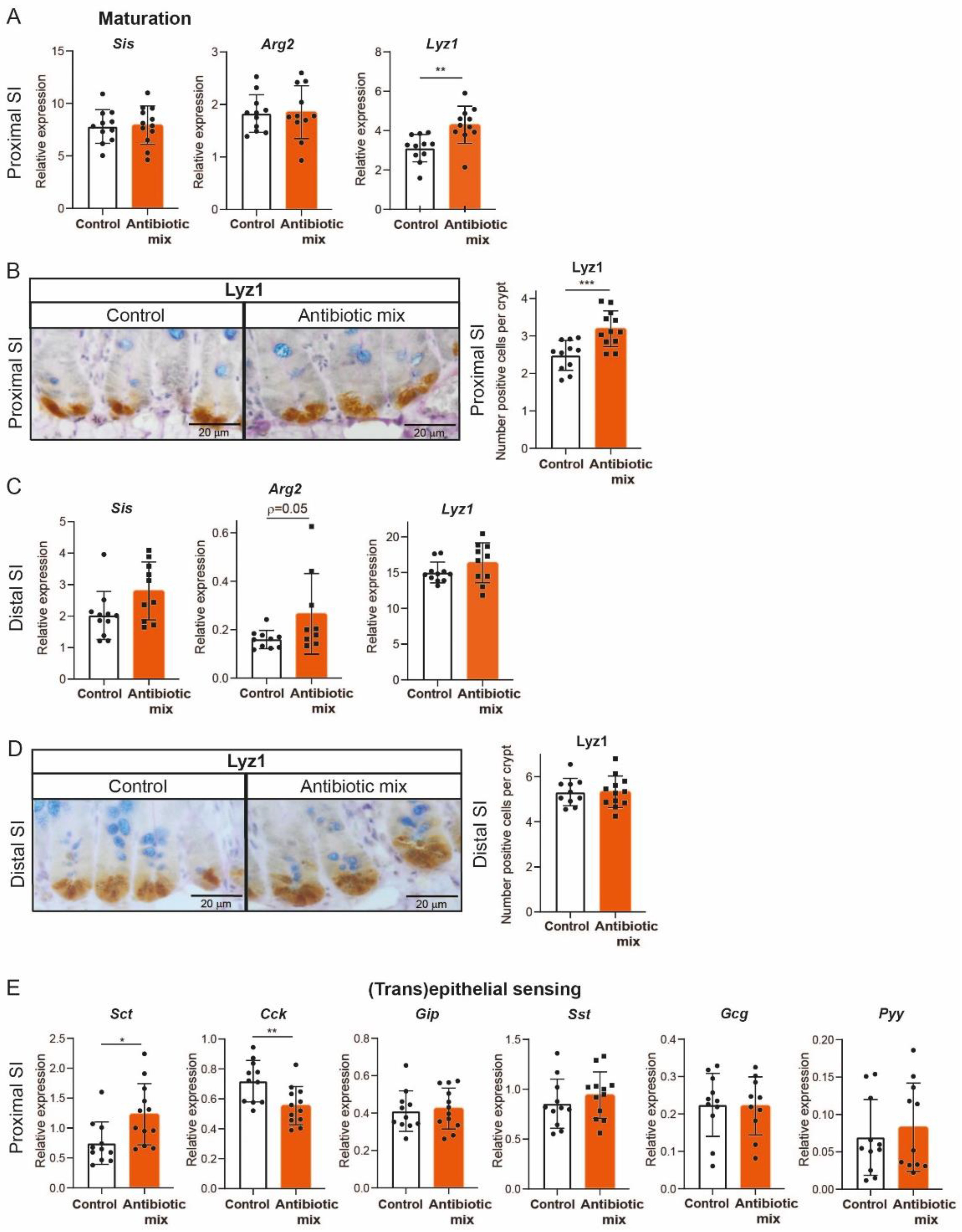Antibiotics 11 00267 g003 Antibiotics 11 00267 g003