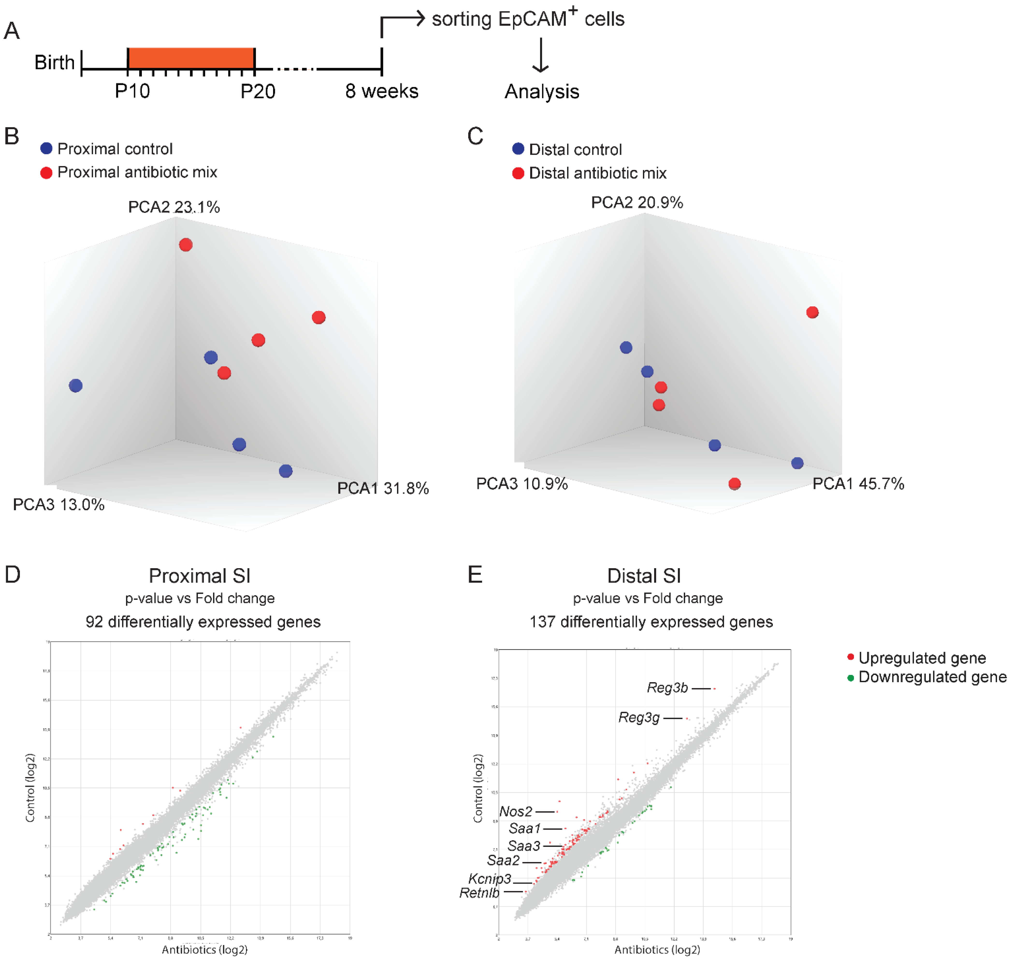 Antibiotics 11 00267 g004 Antibiotics 11 00267 g004
