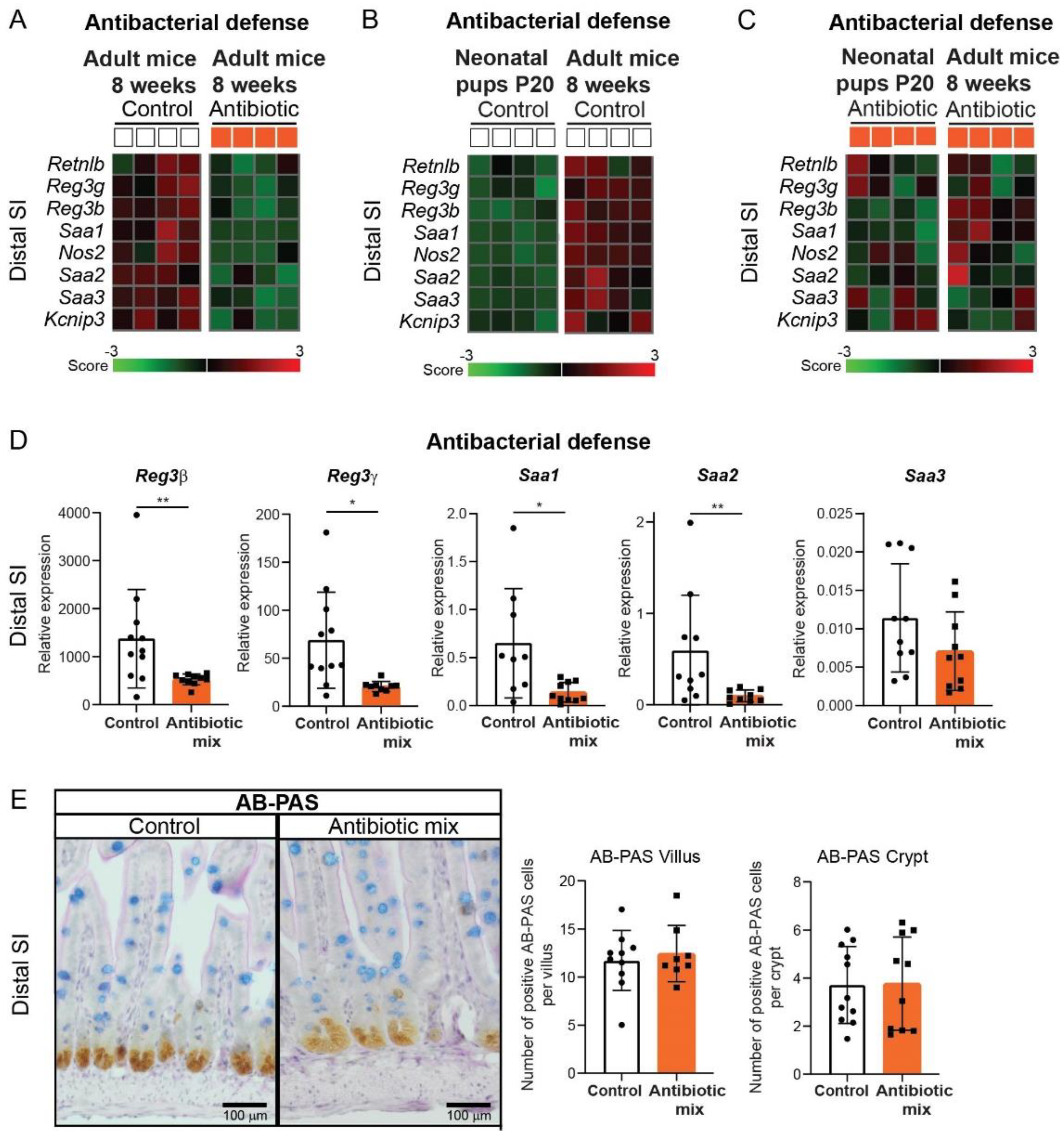 Antibiotics 11 00267 g005 Antibiotics 11 00267 g005