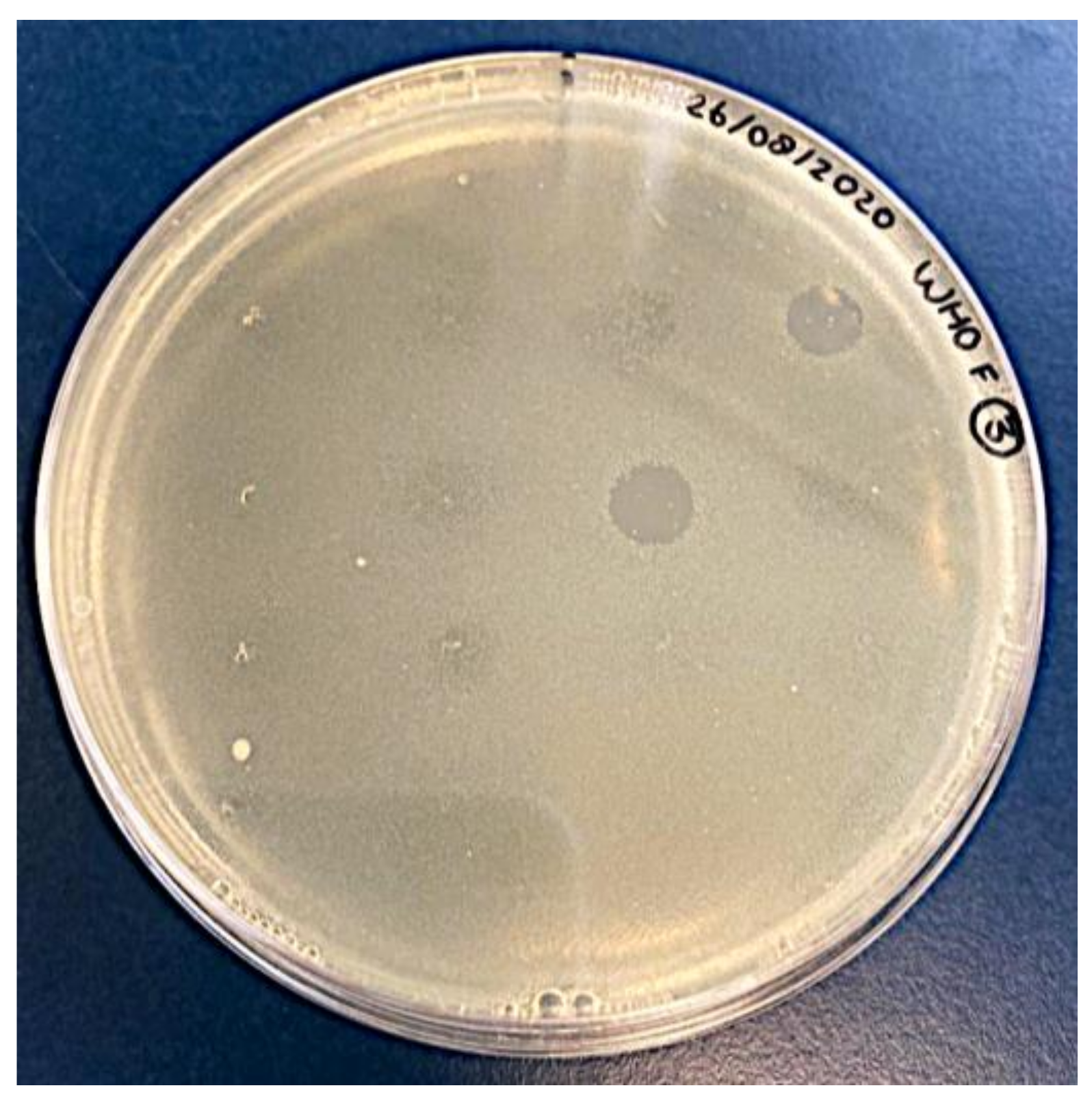 Antibiotics 11 00268 g001 550
