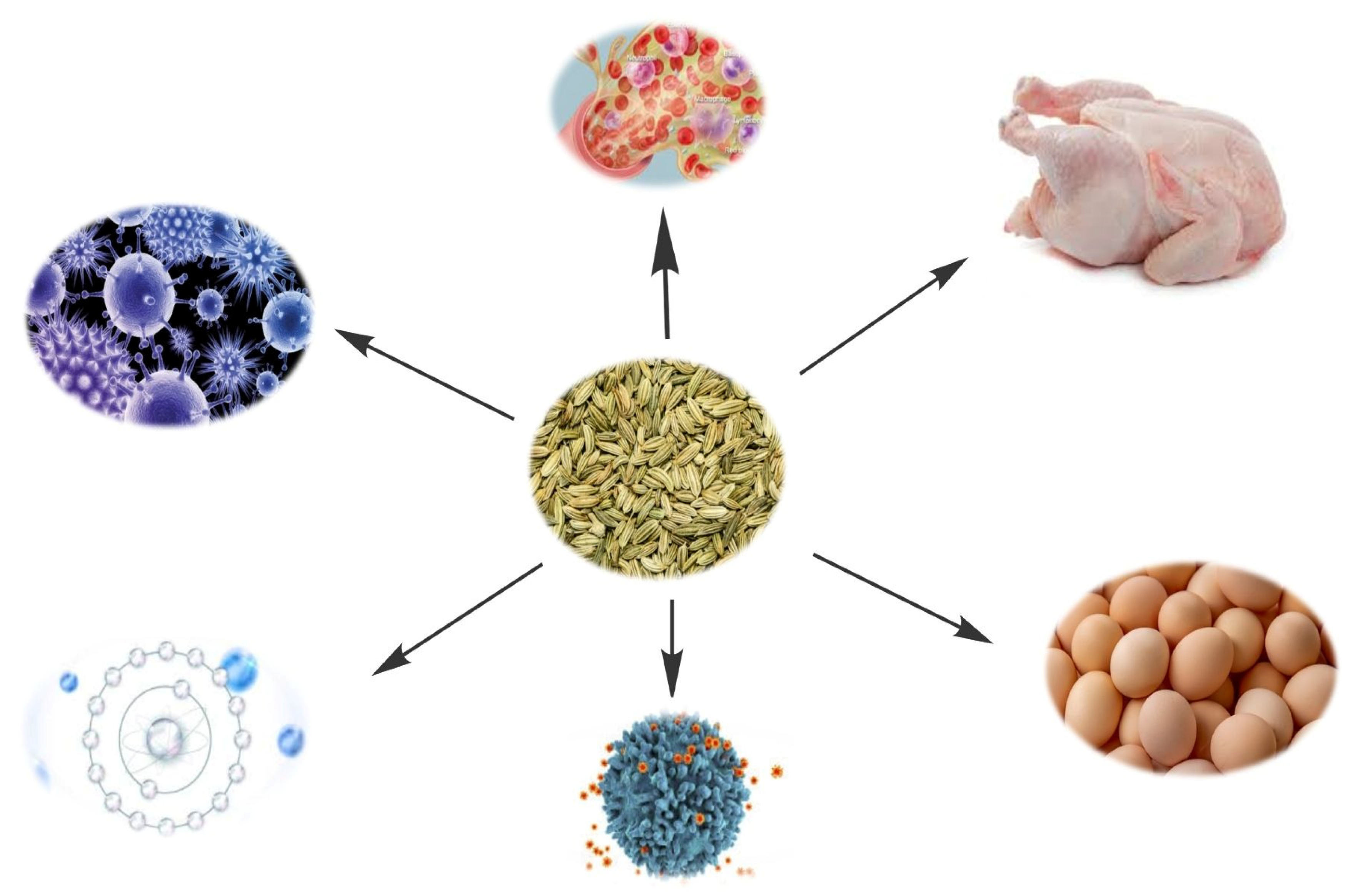 Antibiotics 11 00278 g003