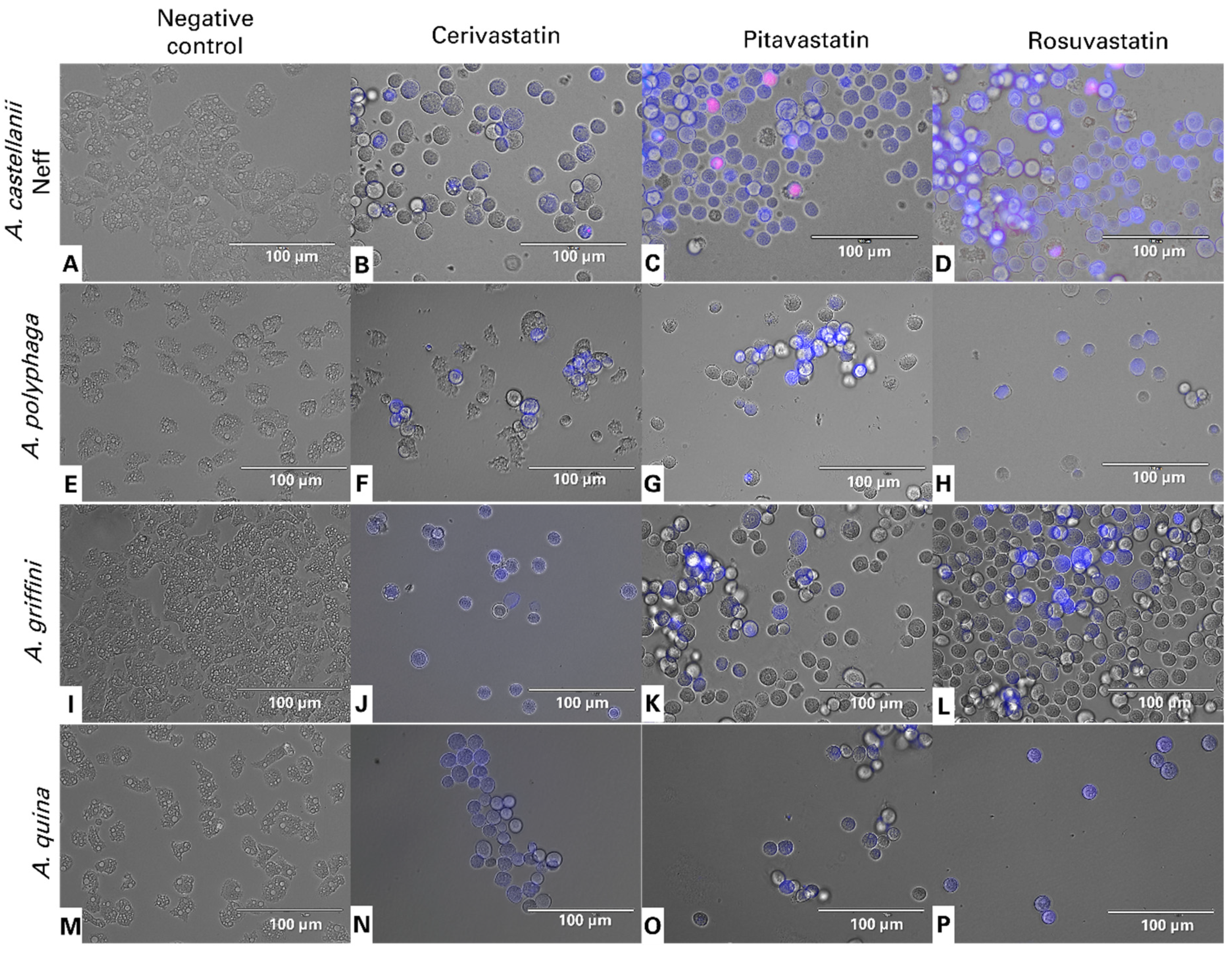 Antibiotics 11 00280 g002