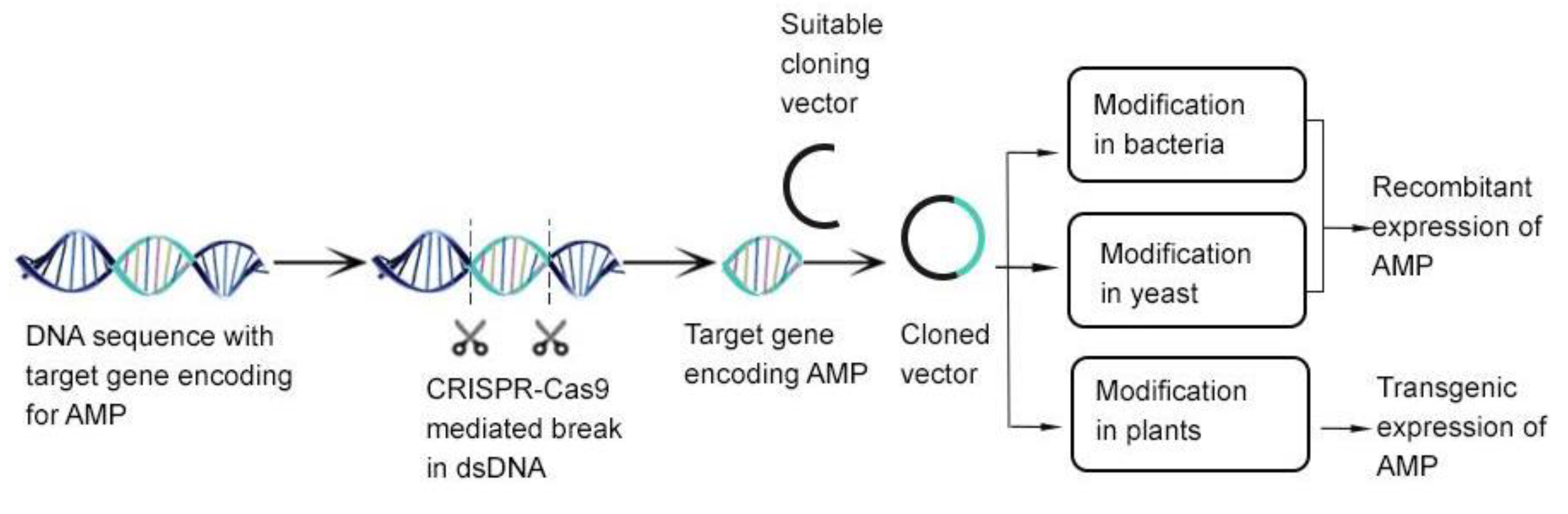 Antibiotics 11 00285 g002 Antibiotics 11 00285 g002