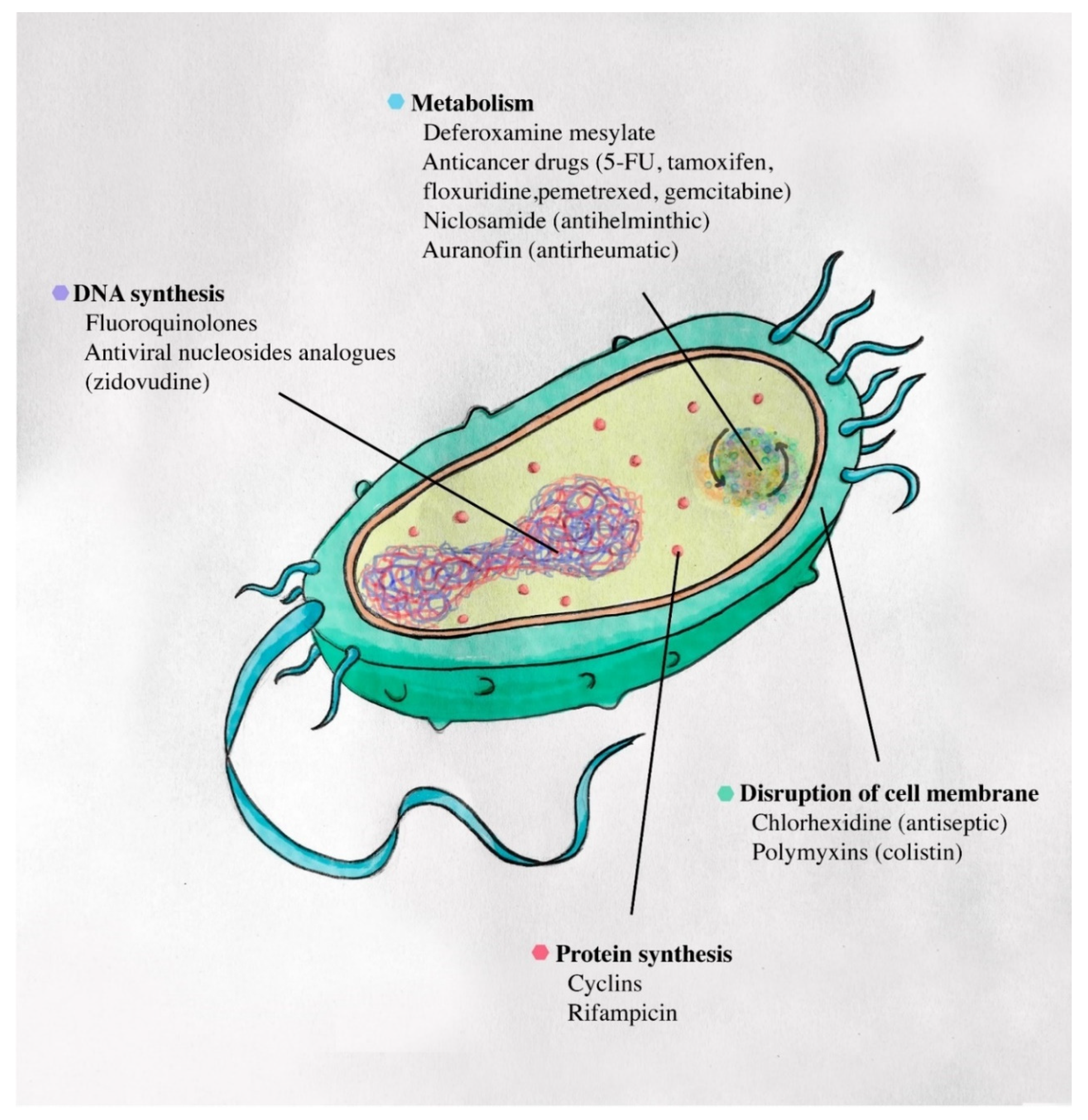 Antibiotics 11 00291 g003