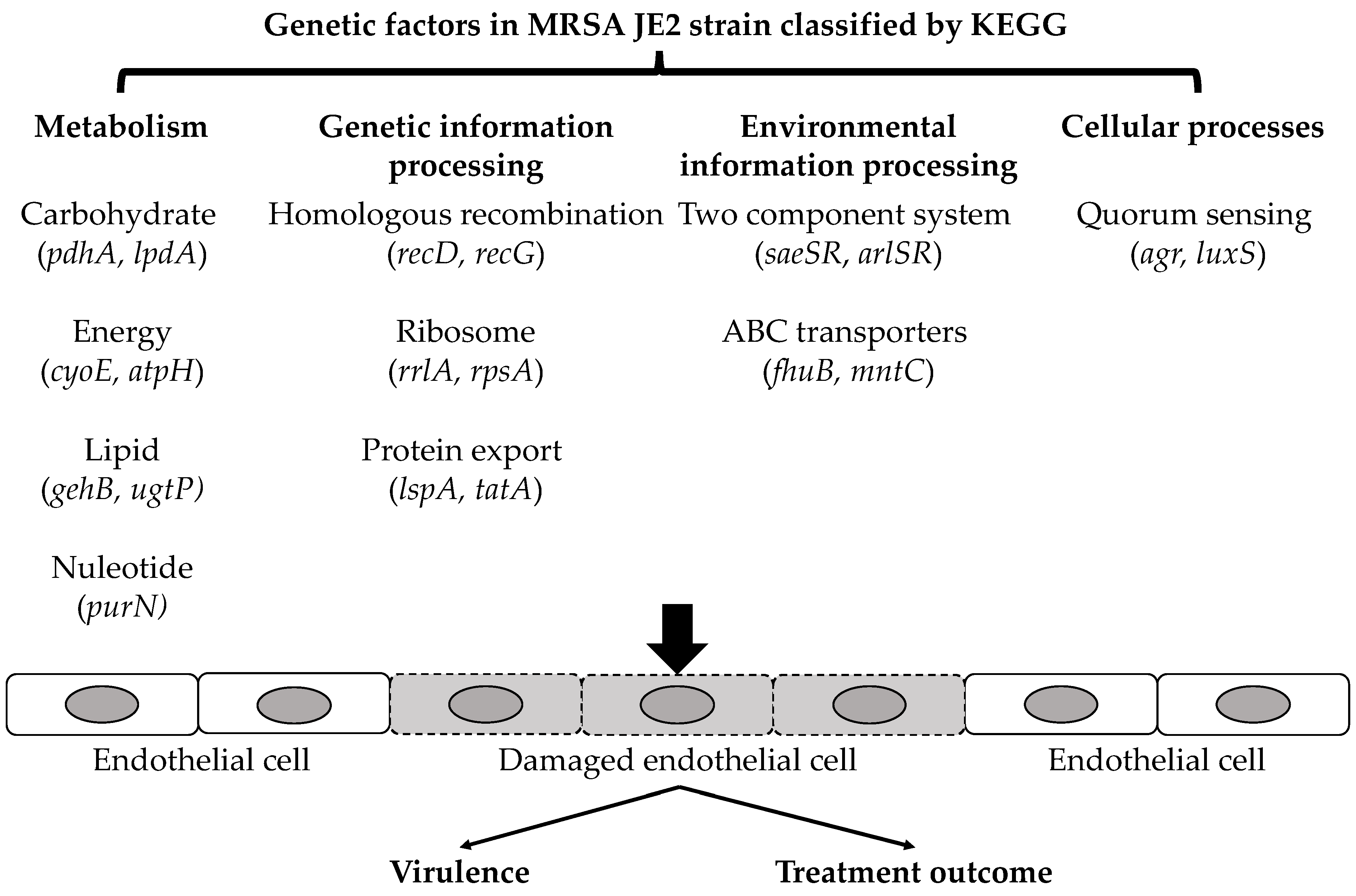 Antibiotics 11 00316 g003