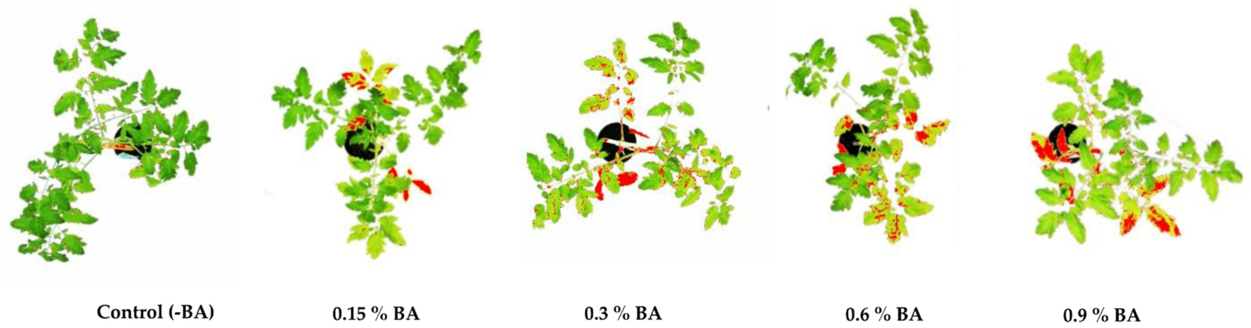 Antibiotics 11 00320 g001