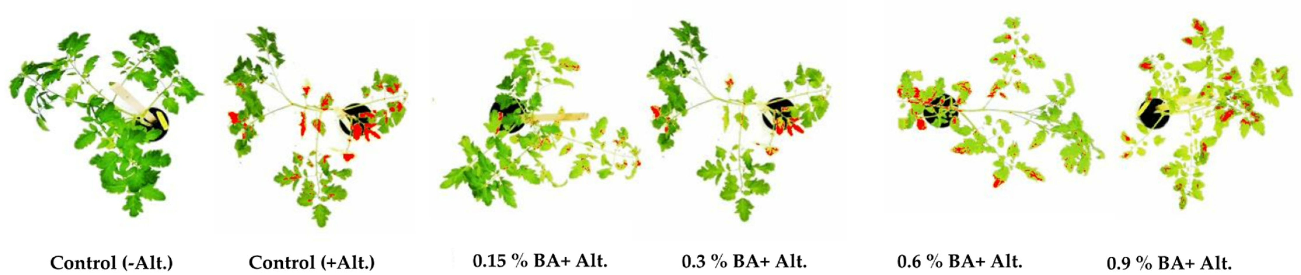 Antibiotics 11 00320 g003