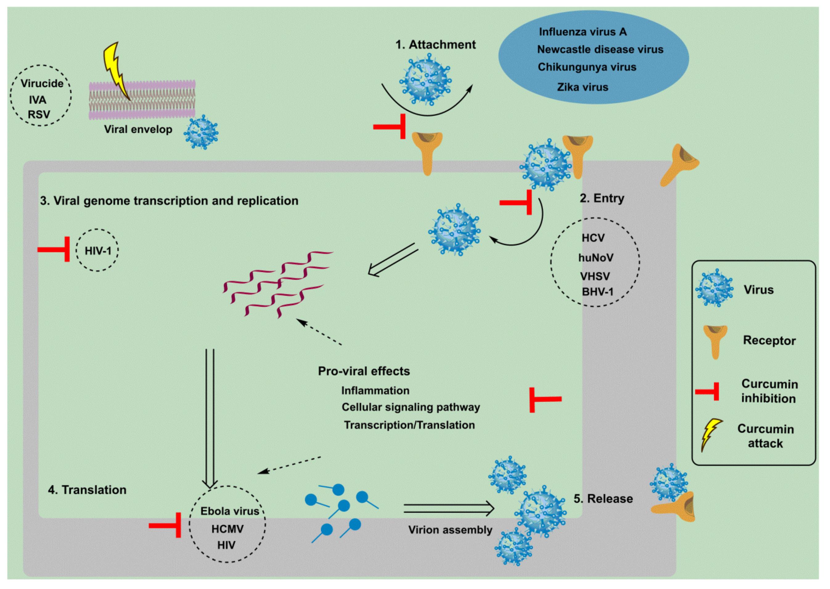 Antibiotics 11 00322 g003 Antibiotics 11 00322 g003