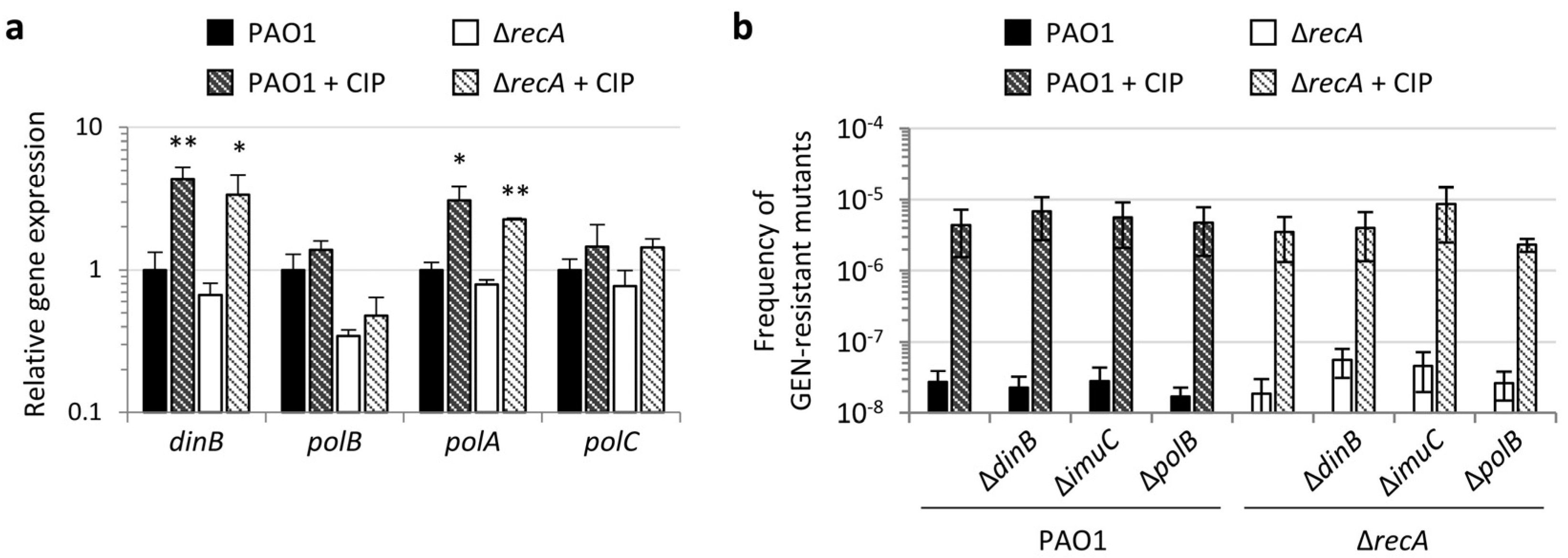 Antibiotics 11 00325 g003