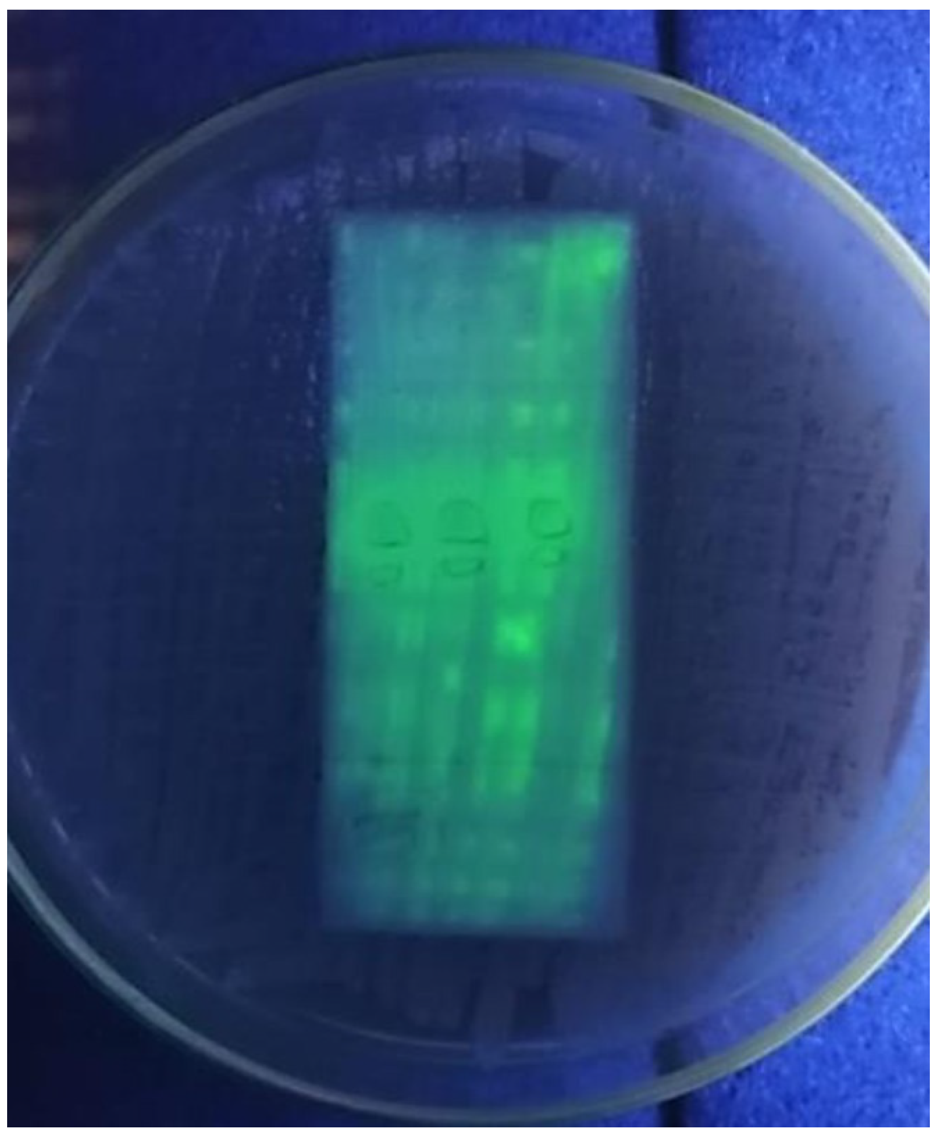 Antibiotics 11 00327 g0a3