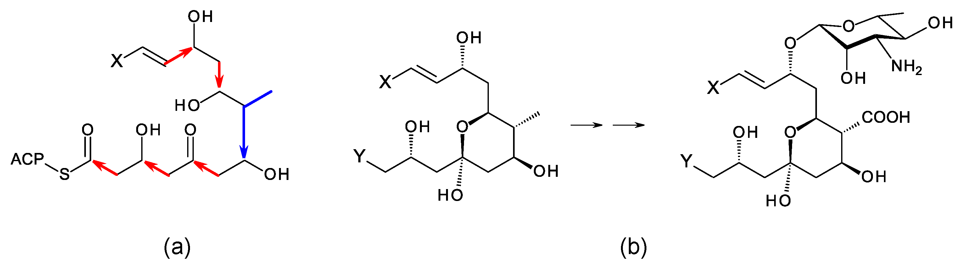 Antibiotics 11 00334 g002