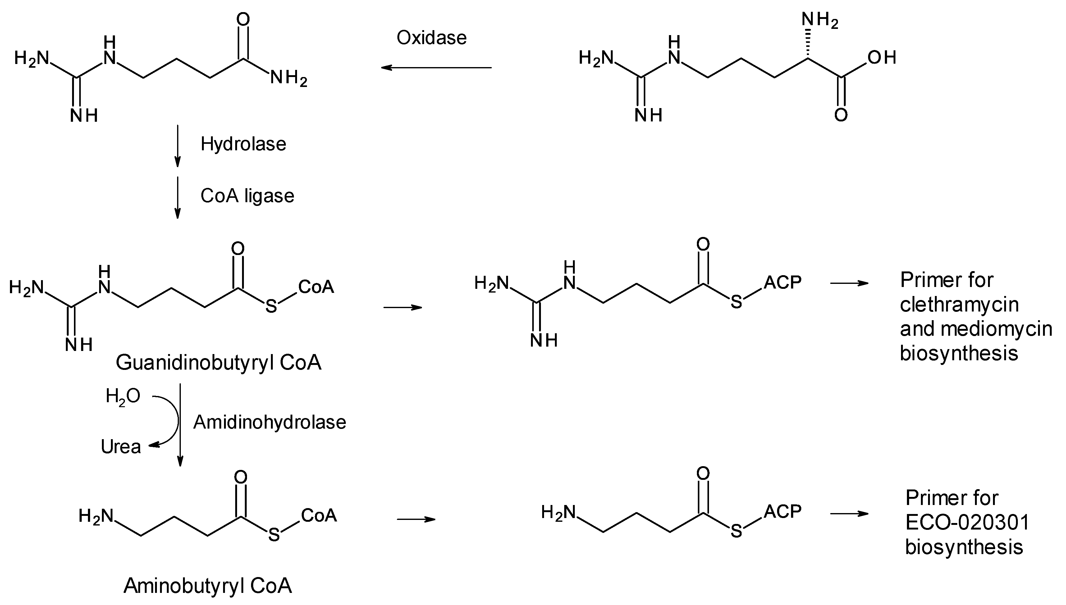 Antibiotics 11 00334 g006
