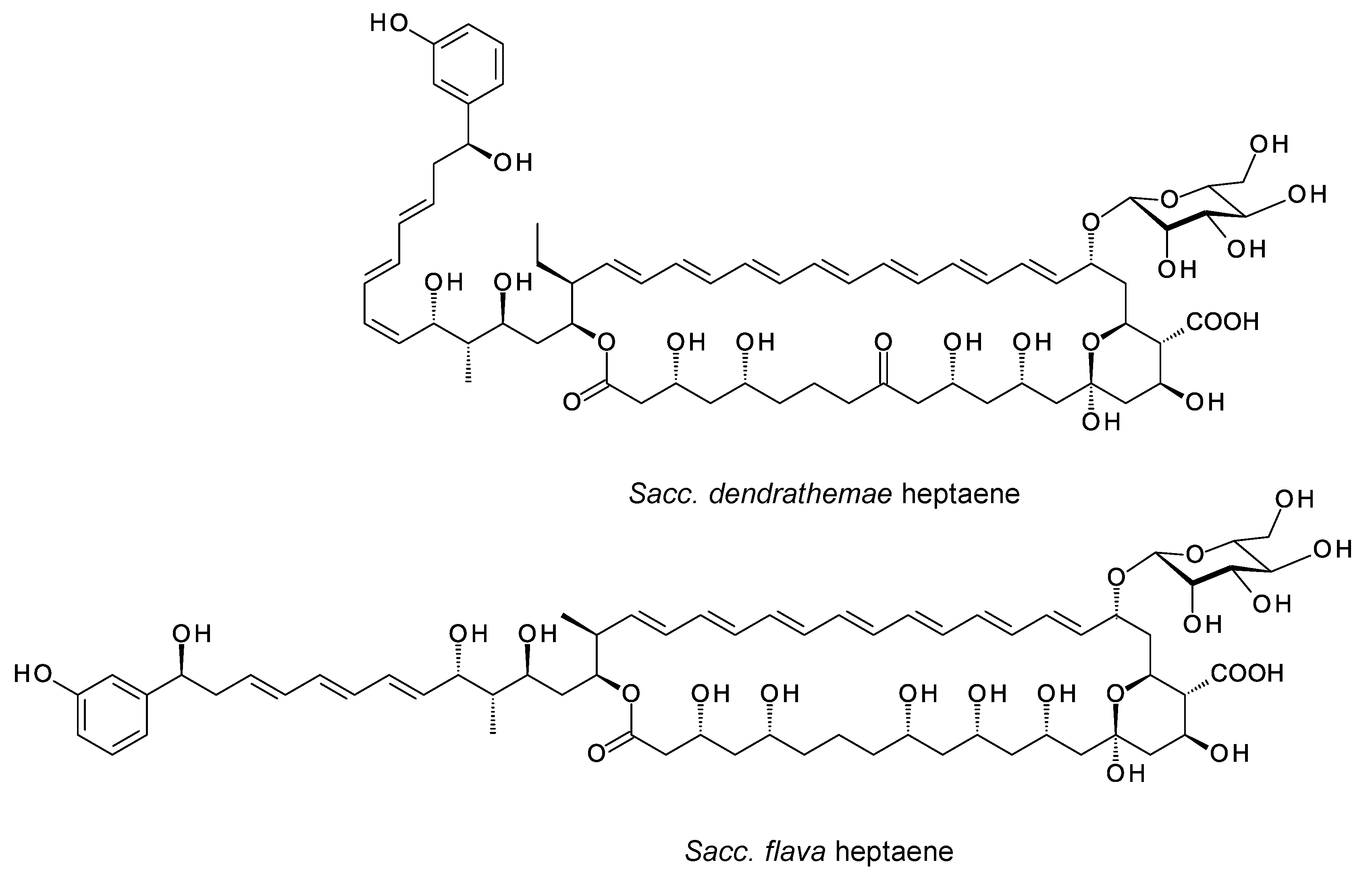 Antibiotics 11 00334 g010