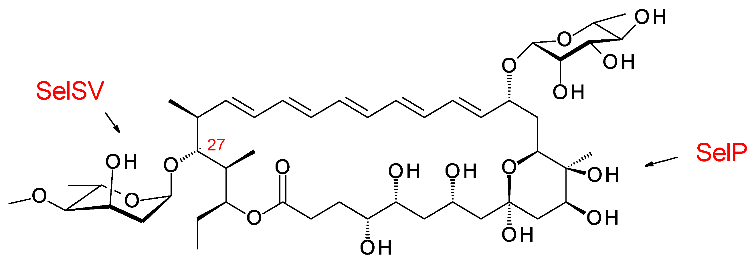 Antibiotics 11 00334 g021