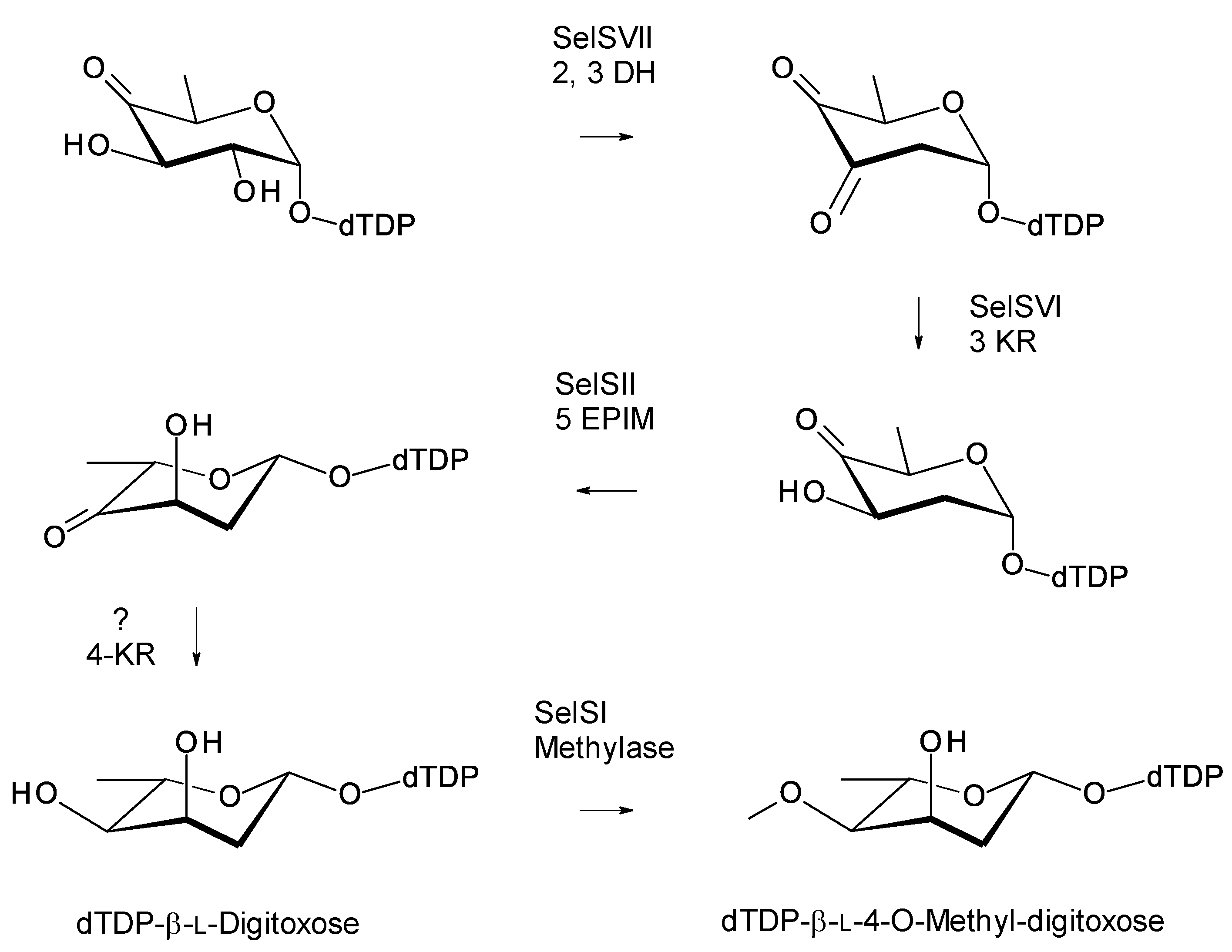 Antibiotics 11 00334 g022