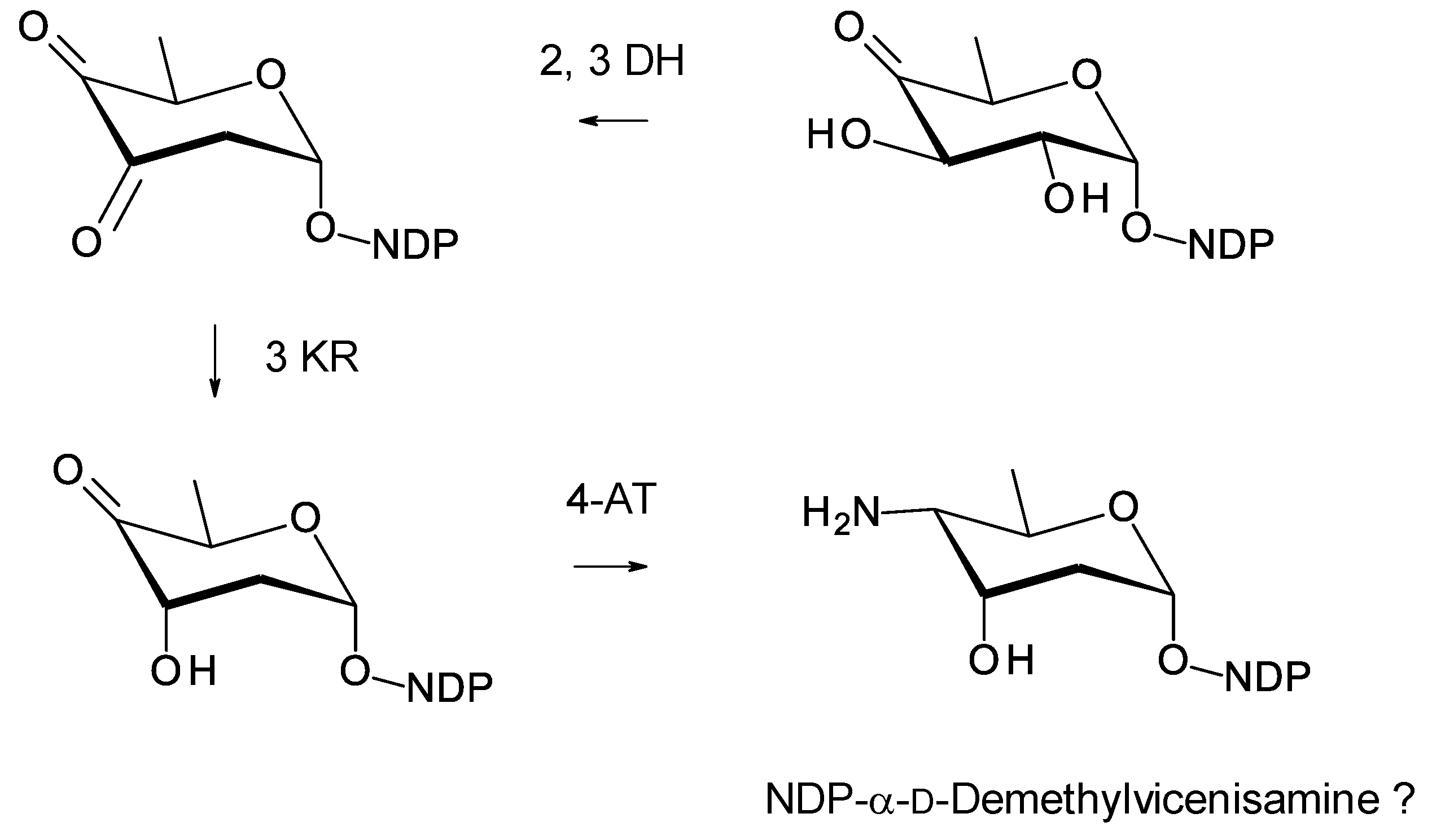 Antibiotics 11 00334 g026