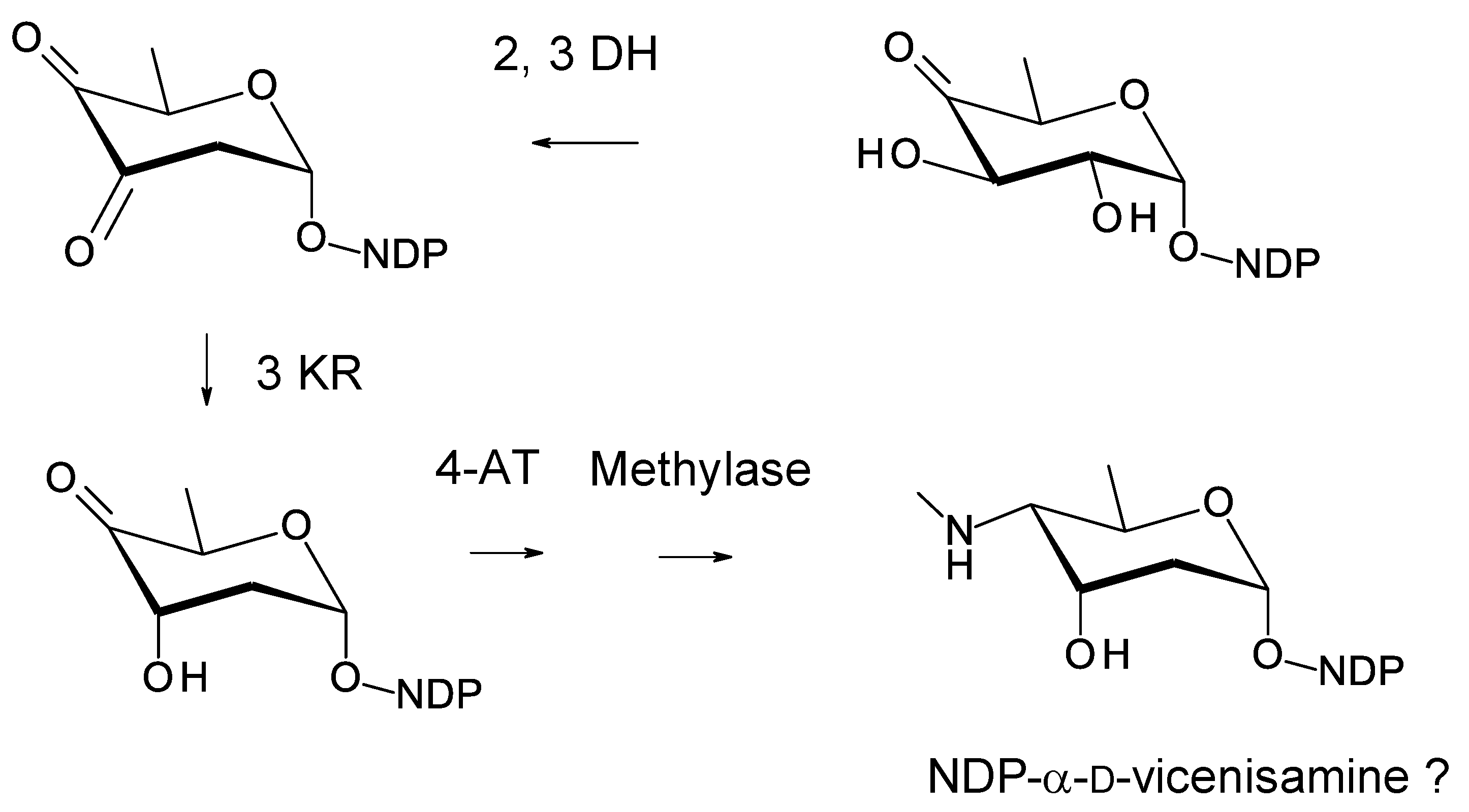 Antibiotics 11 00334 g028