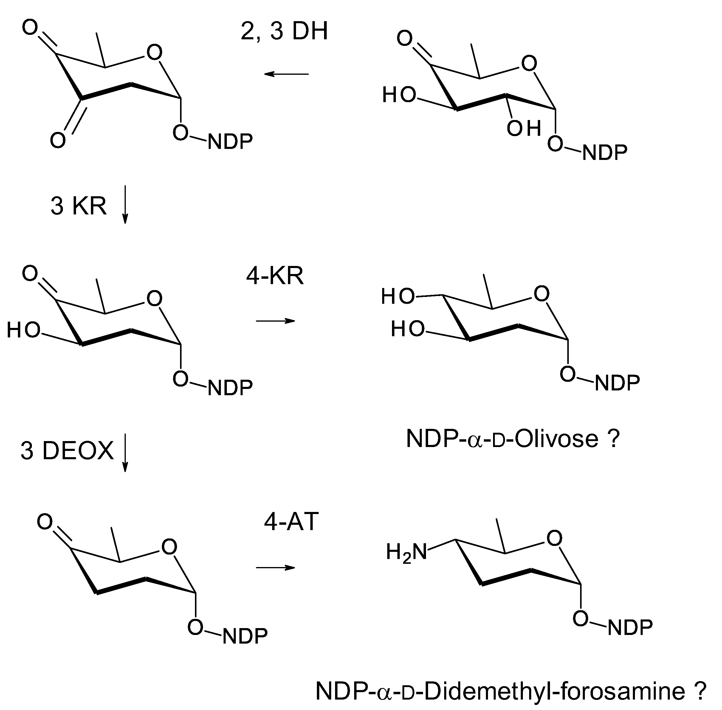 Antibiotics 11 00334 g029