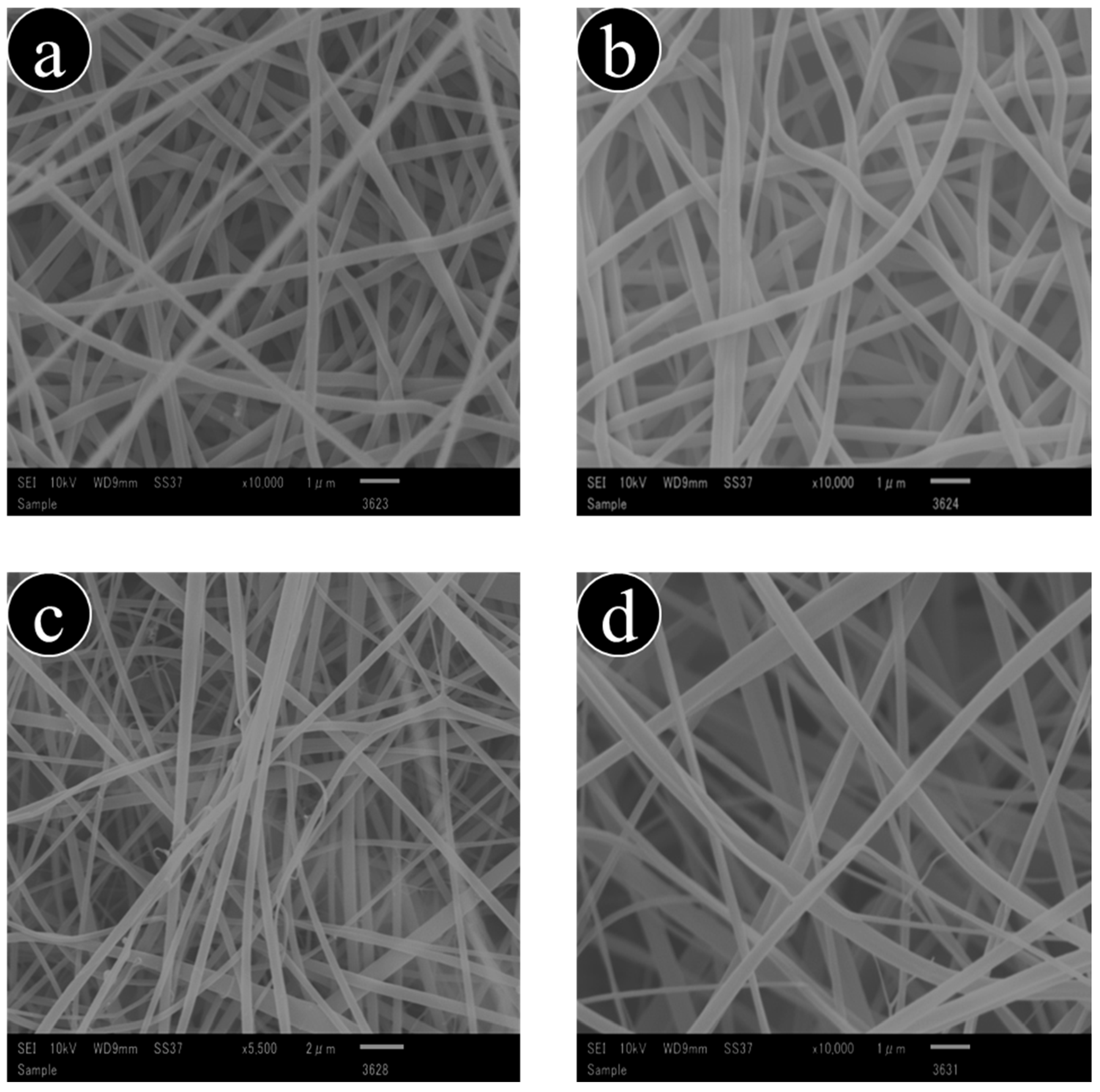 Antibiotics Free FullText Fabrication of CeftriaxoneLoaded
