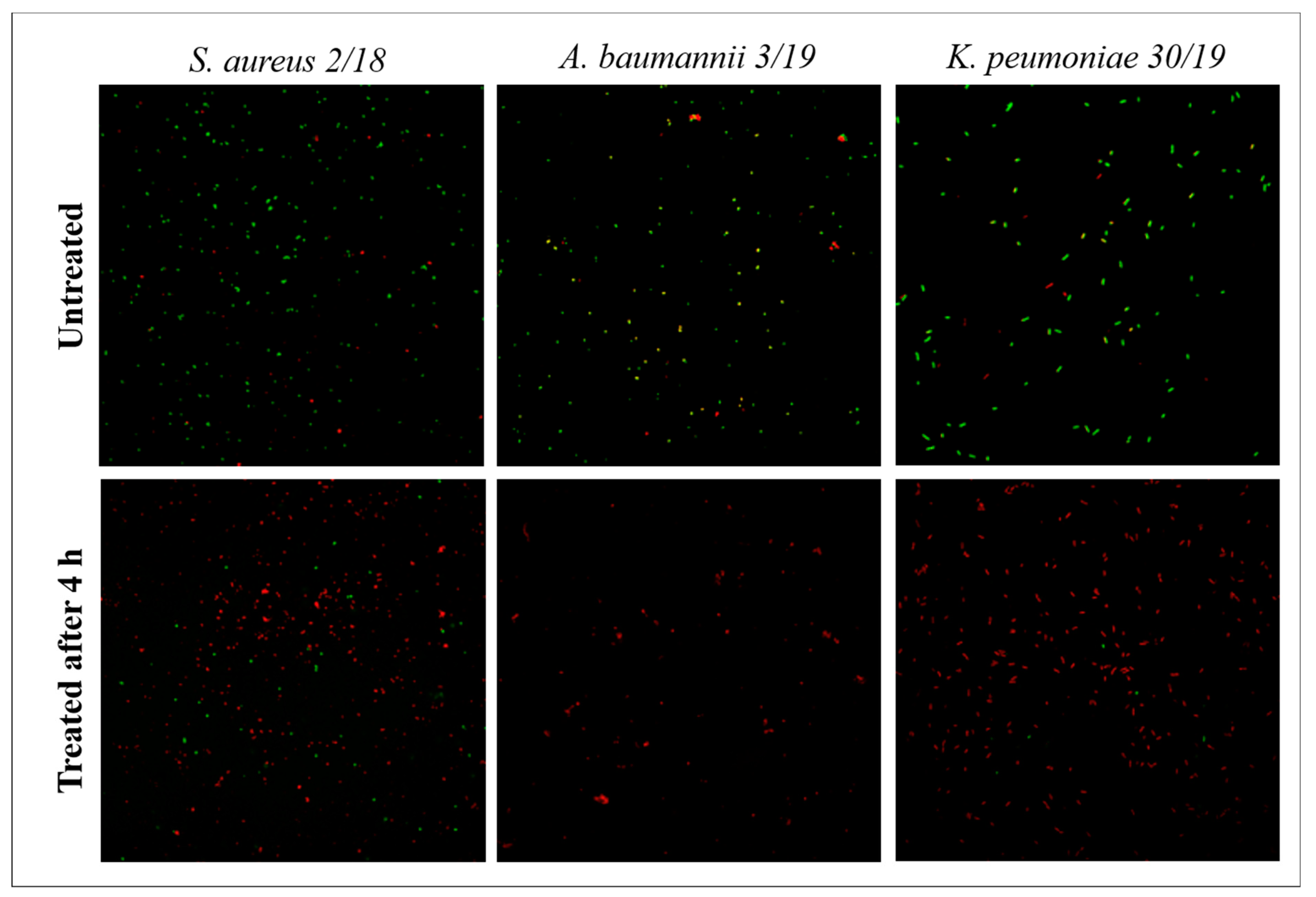 Antibiotics 11 00361 g003 550