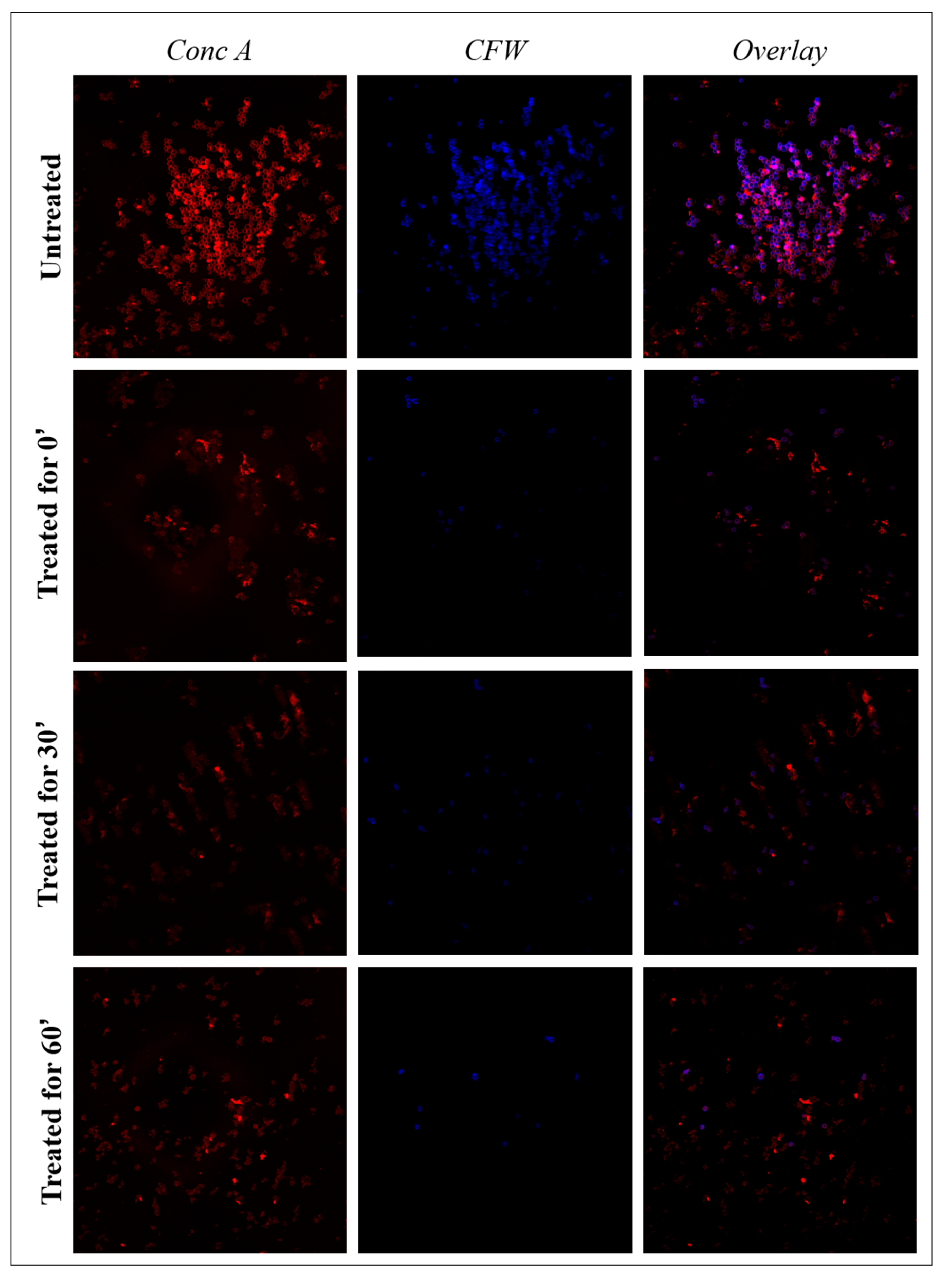 Antibiotics 11 00361 g004 550