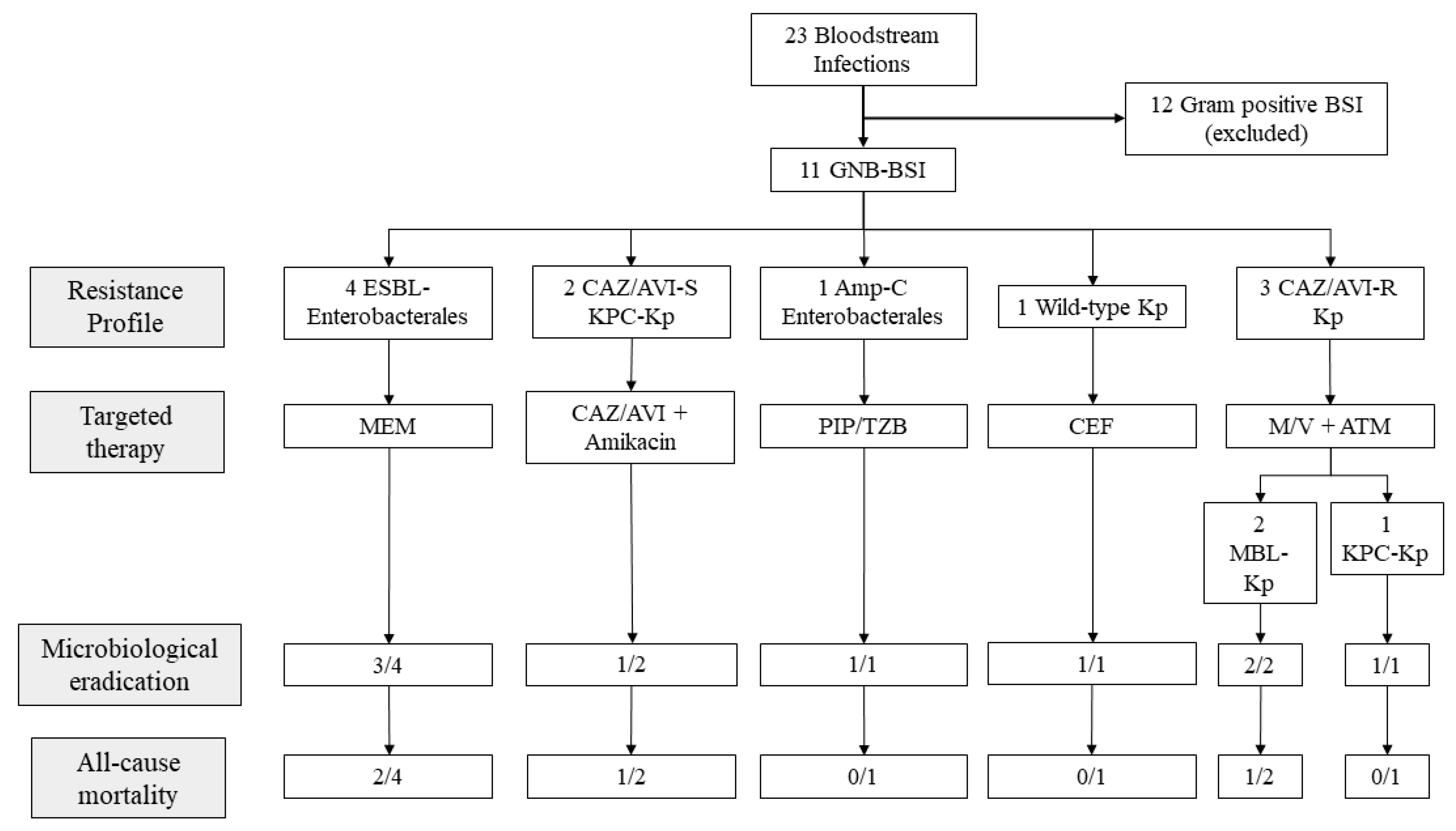 Antibiotics 11 00373 g001 550