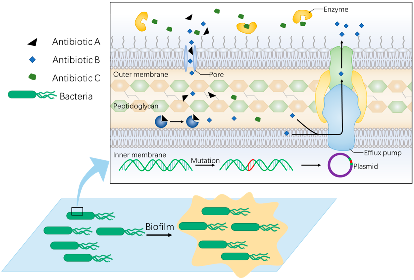 Antibiotics 11 00390 g001